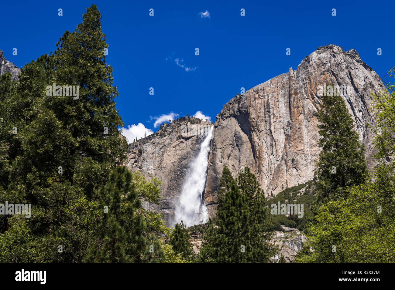 Yosemite Falls, Yosemite National Park, California, USA Banque D'Images