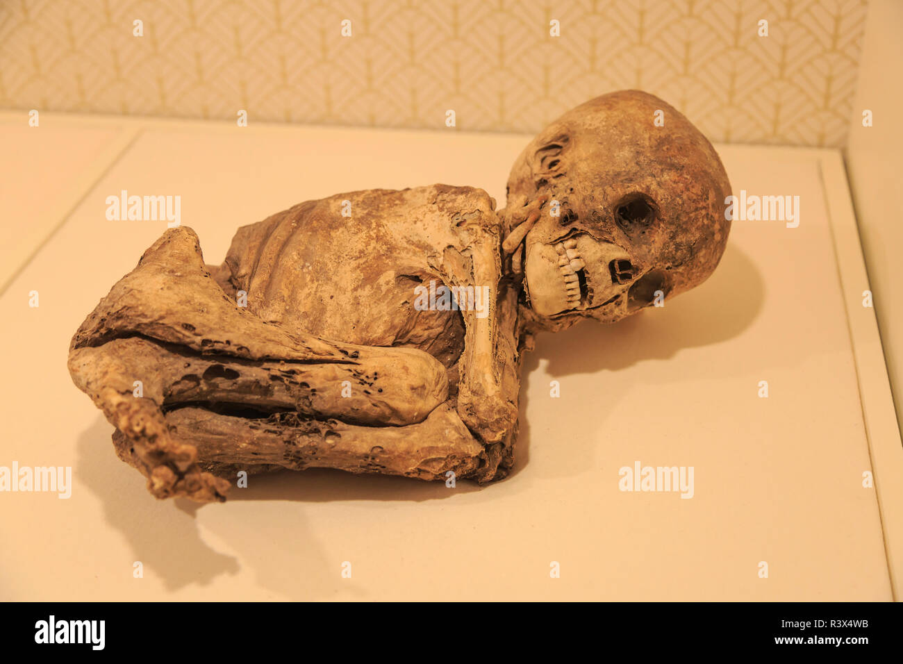 Enfant péruvien momies, Musée de l'homme, le Balboa Park, San Diego, California, USA Banque D'Images