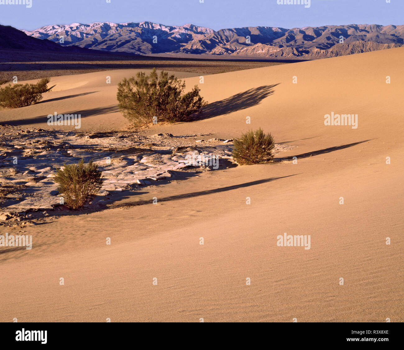 États-unis, Californie, Death Valley National Park. Paysage désertique. Banque D'Images