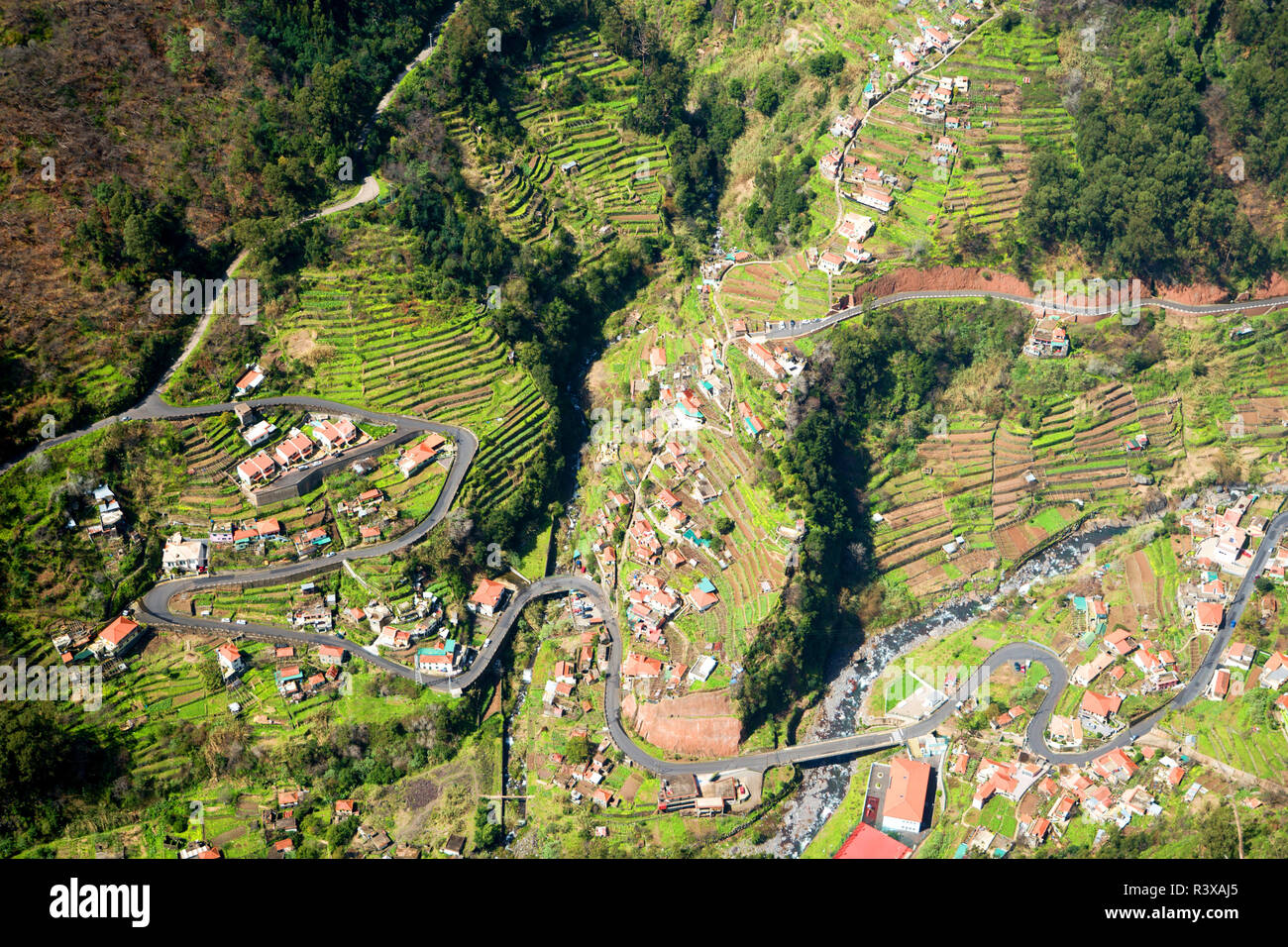 Les champs en terrasses de Curral das Freiras village dans la vallée des nonnes, Madeira, Portugal Banque D'Images