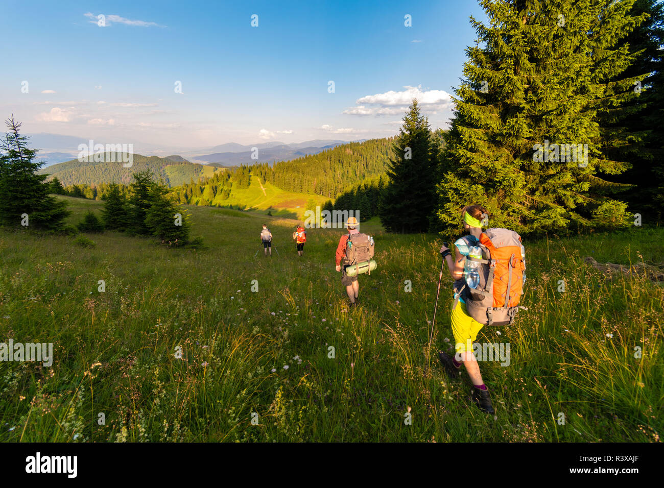 Groupe de randonneurs randonnée dans le coucher du soleil, lumière, Velka Fatra Carpates de l'Ouest, la Slovaquie Banque D'Images
