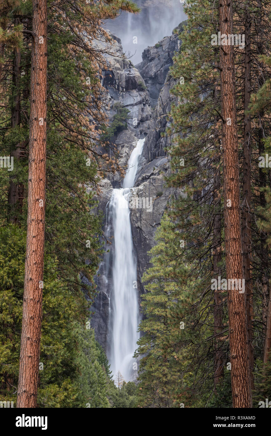 États-unis, Californie, le Parc National Yosemite. Yosemite Falls pans inférieur Banque D'Images