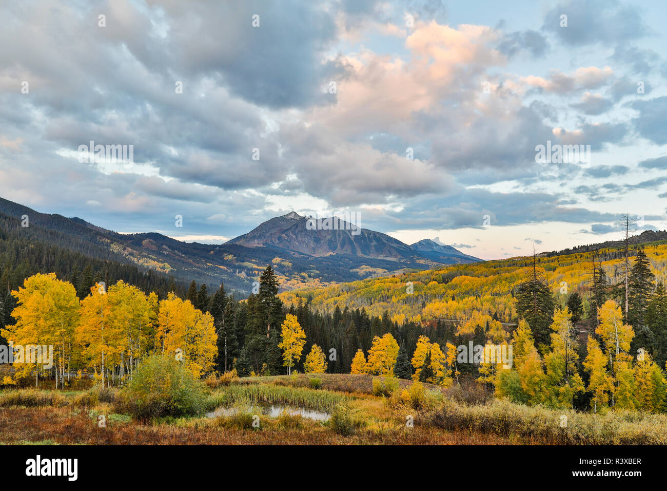 Couleurs d'automne près de Kebler Pass, Crested Butte Banque D'Images