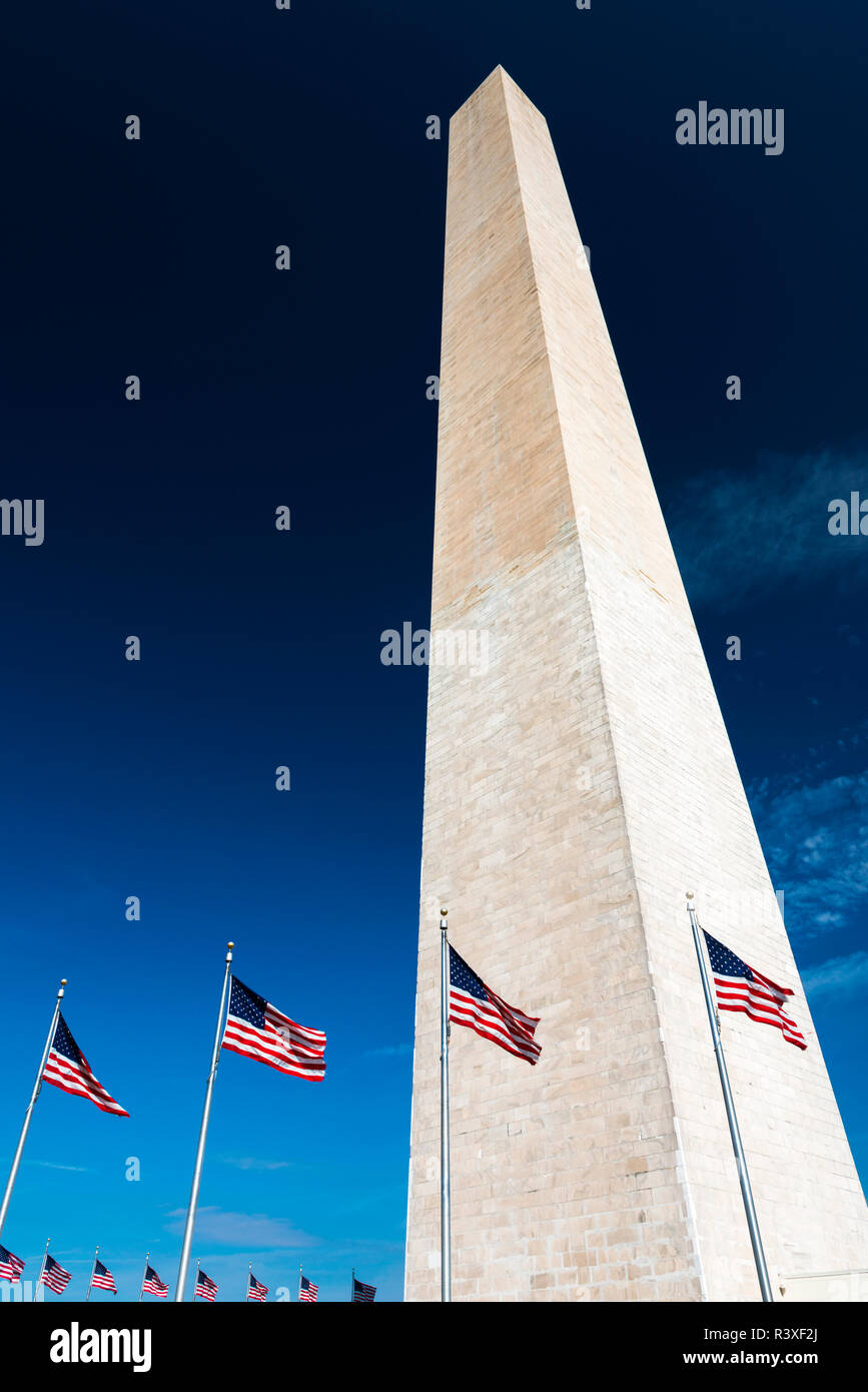 Le Monument de Washington, Washington DC, USA Banque D'Images