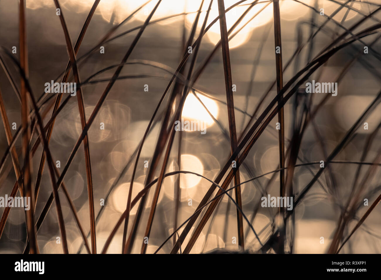 Close up à partir de l'eau avec la lumière de l'usine et réflexions à matin bokeh en Finlande Banque D'Images