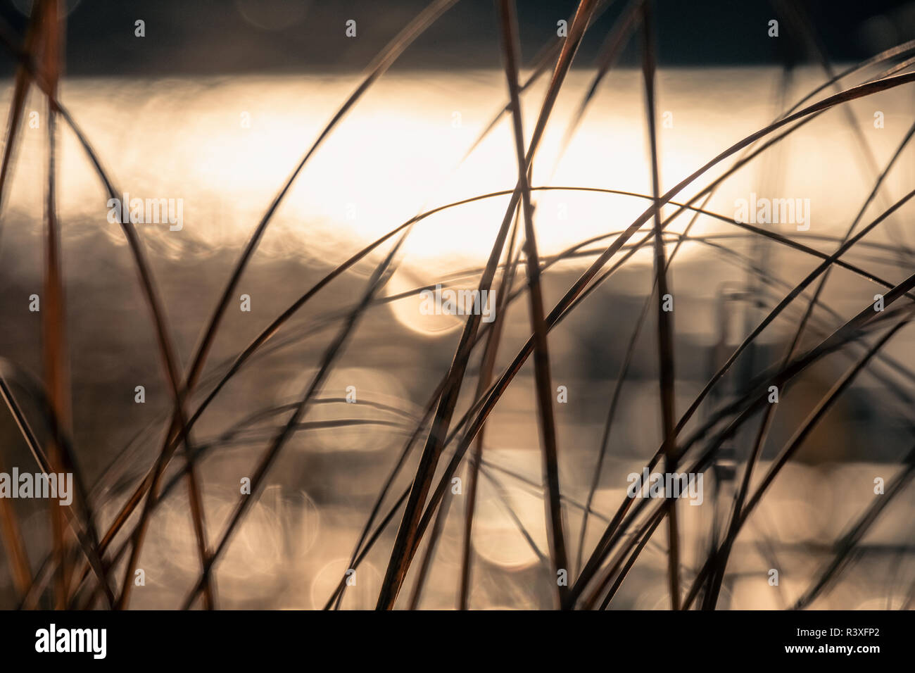 Close up à partir de l'eau avec la lumière de l'usine et réflexions à matin bokeh en Finlande Banque D'Images