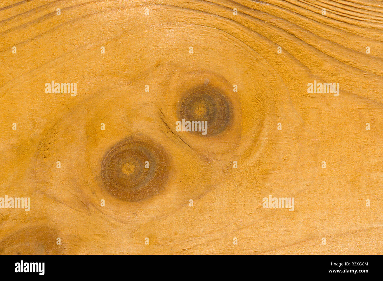 Knot marques sur planche en bois close up Banque D'Images