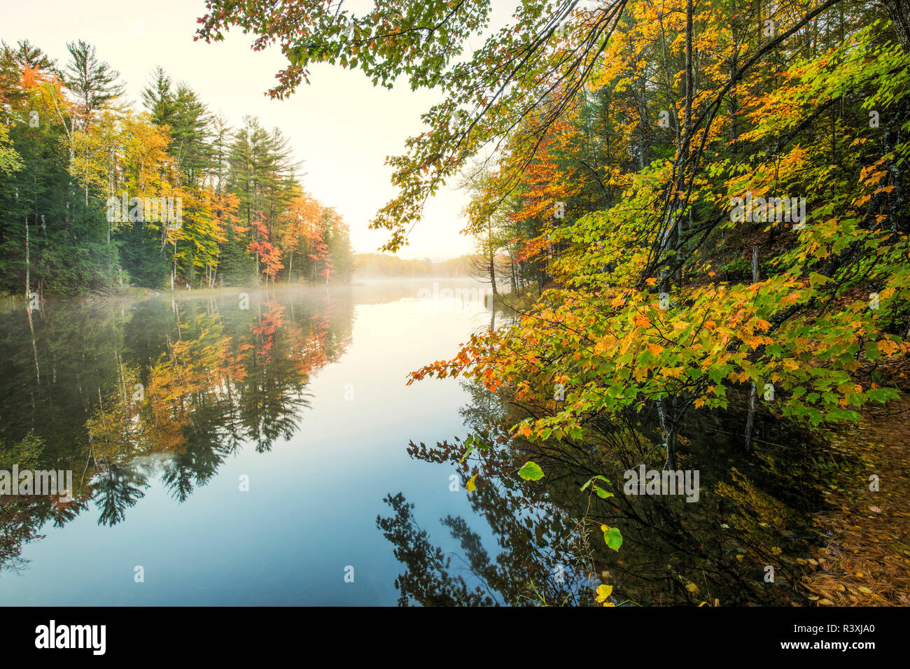 Couleurs d'automne et de la brume sur le lac Conseil reflétant au lever du soleil, Hiawatha National Forest, la péninsule du Michigan. Banque D'Images
