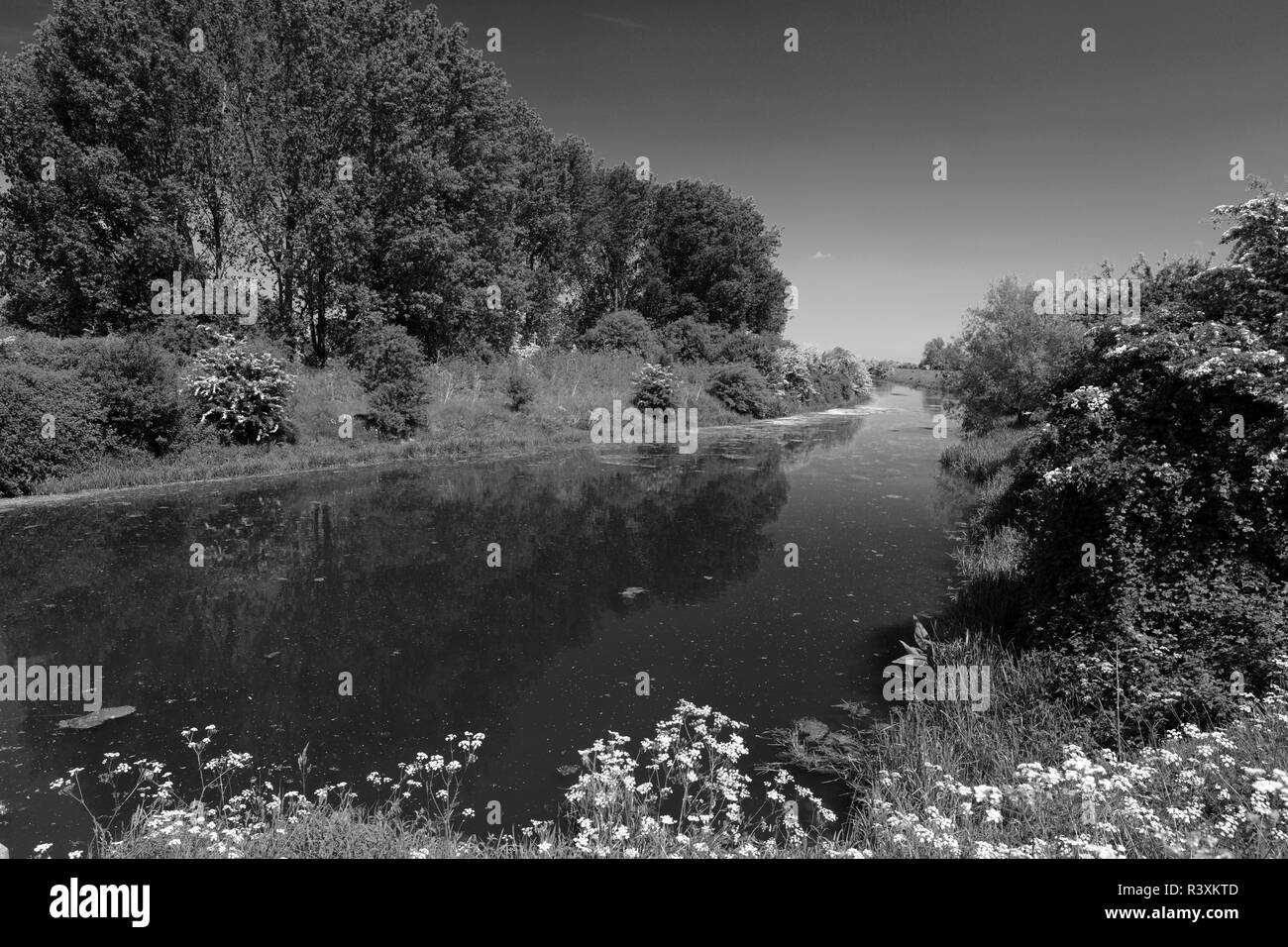 La rivière Welland, Folly ; Vidange Peakirk ; village ; Cambridgeshire, Angleterre, Royaume-Uni Banque D'Images