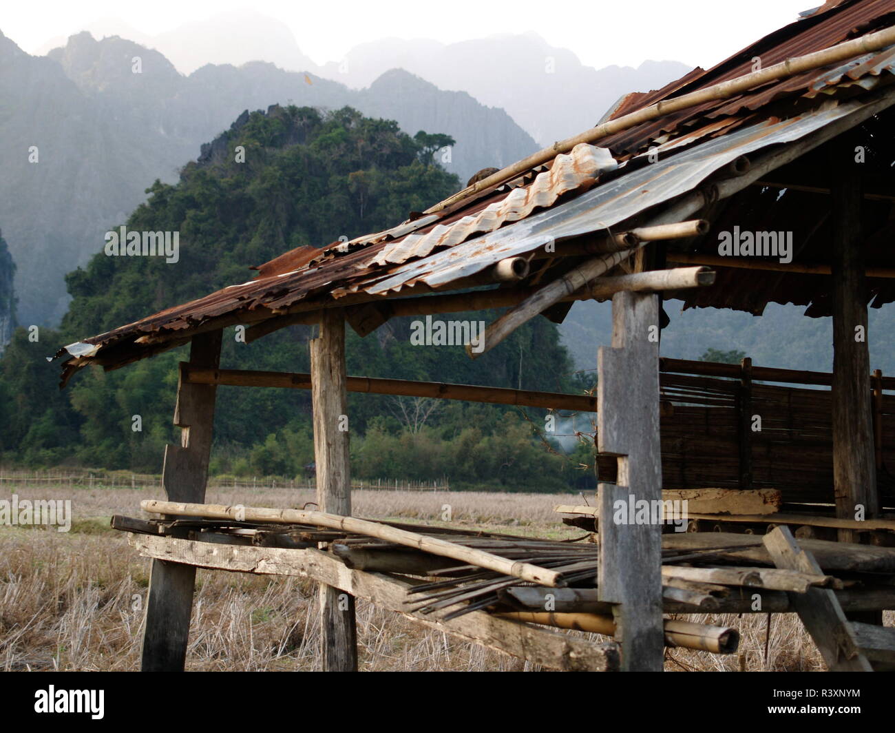 Field House Close-up avec fond Karst, Laos Banque D'Images