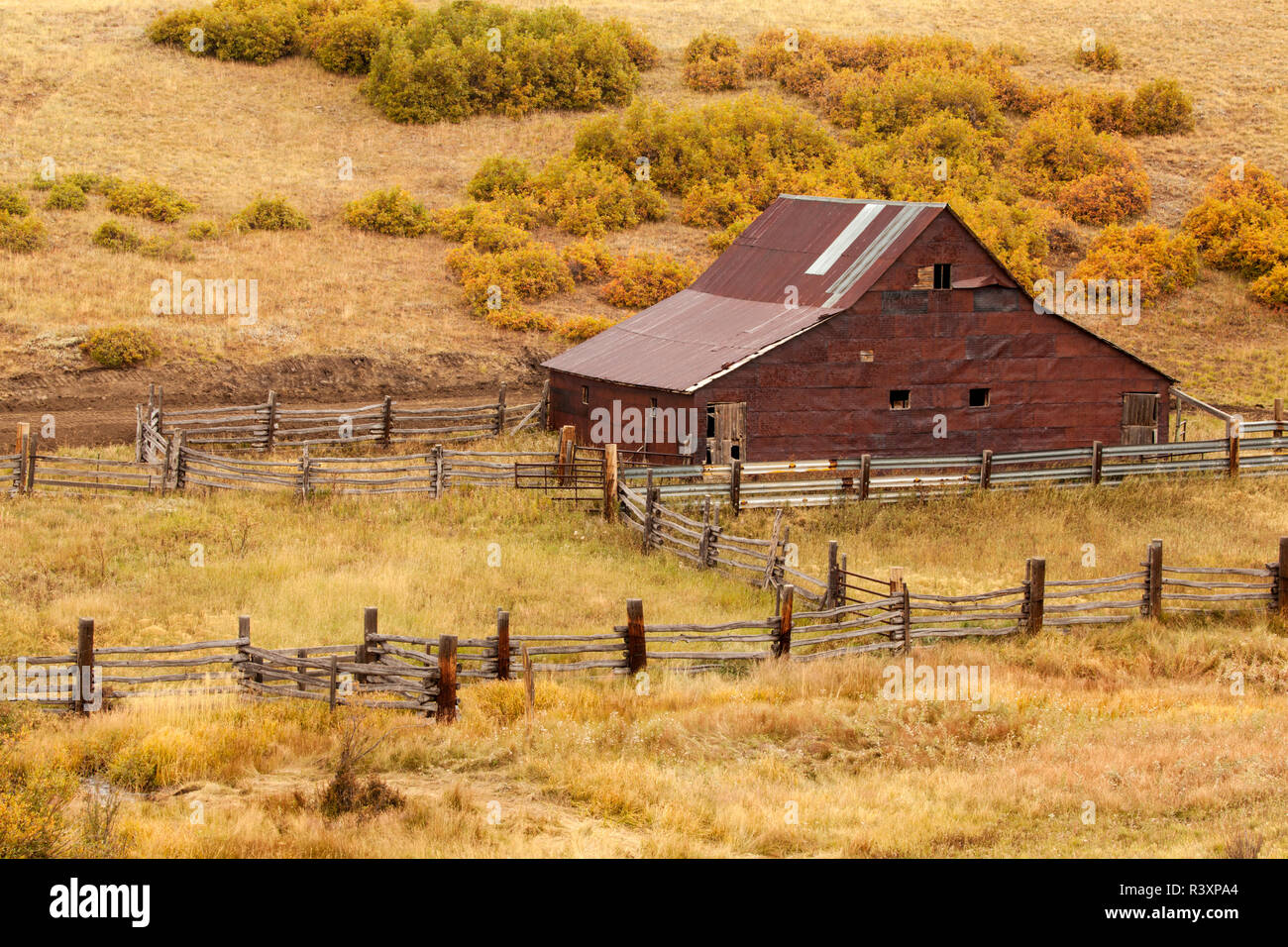 USA, Californie, San Juan Mountains. Grange abandonnée. Banque D'Images