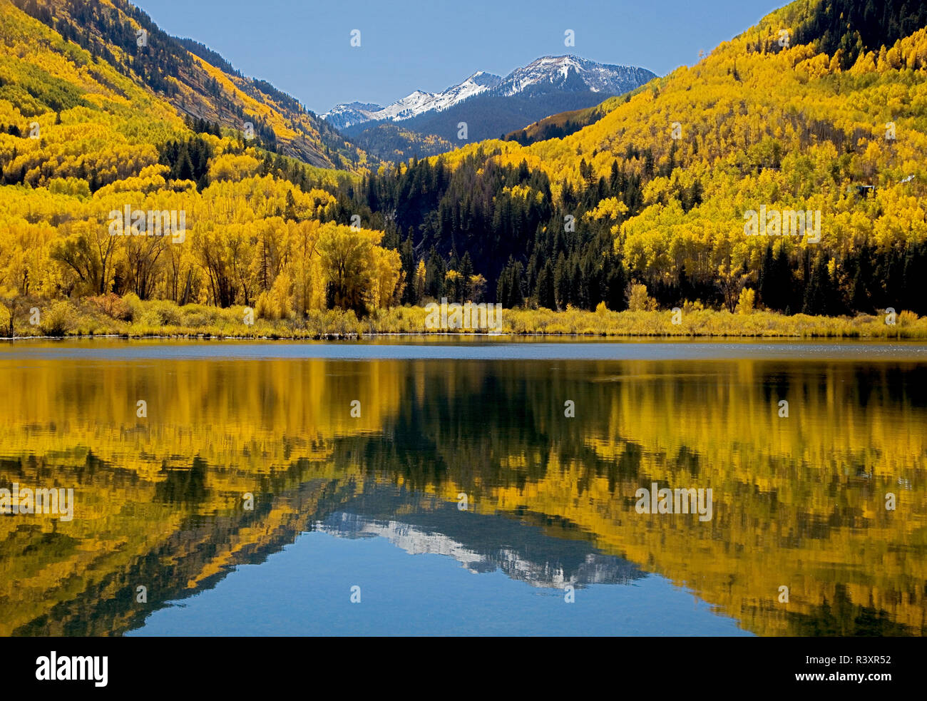 USA, Colorado, Beaver Lake, Colorado Division of Wildlife, automne Banque D'Images