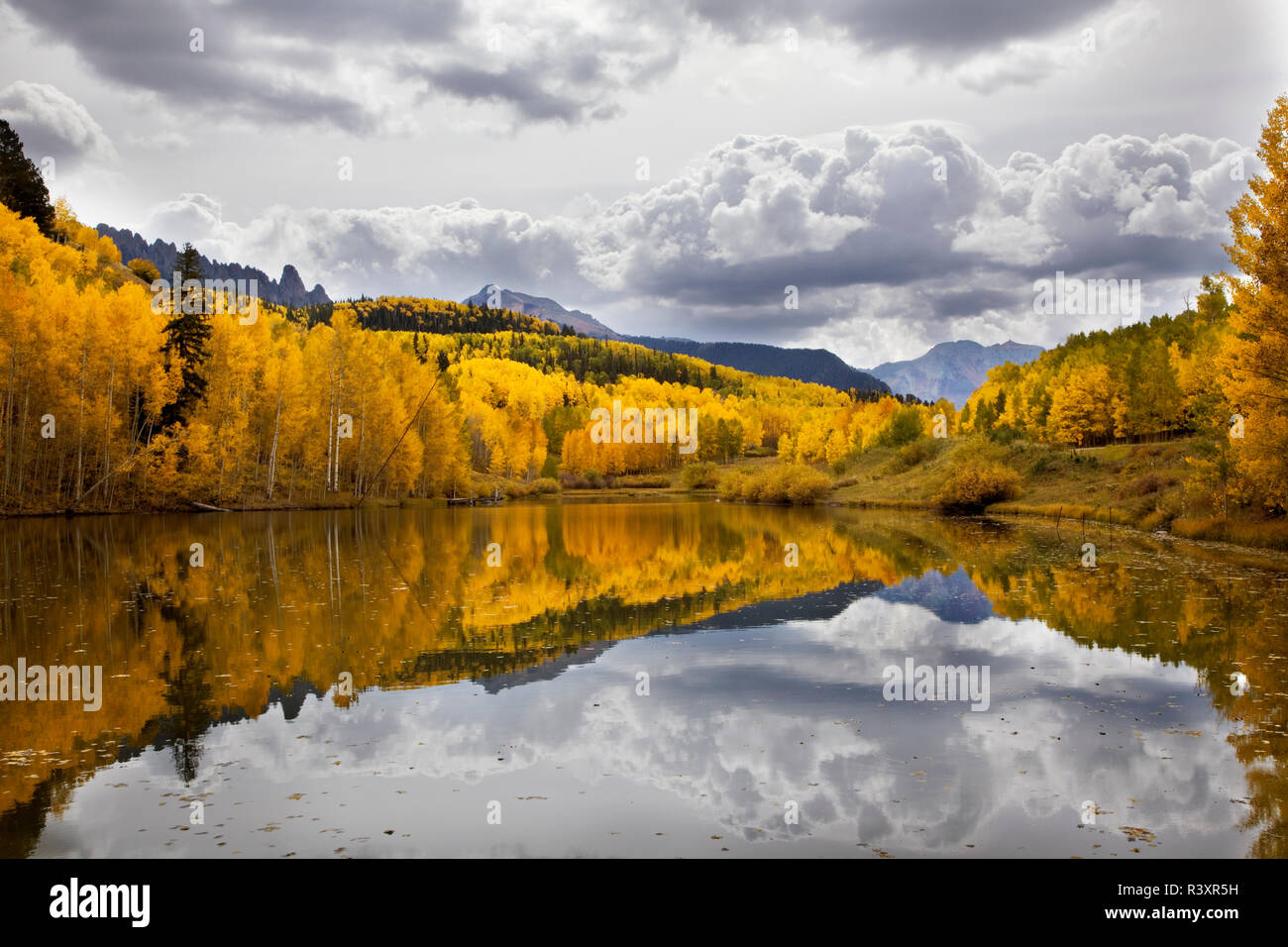 USA. Colorado, Uncompahgre National Forest, automne, étang Banque D'Images
