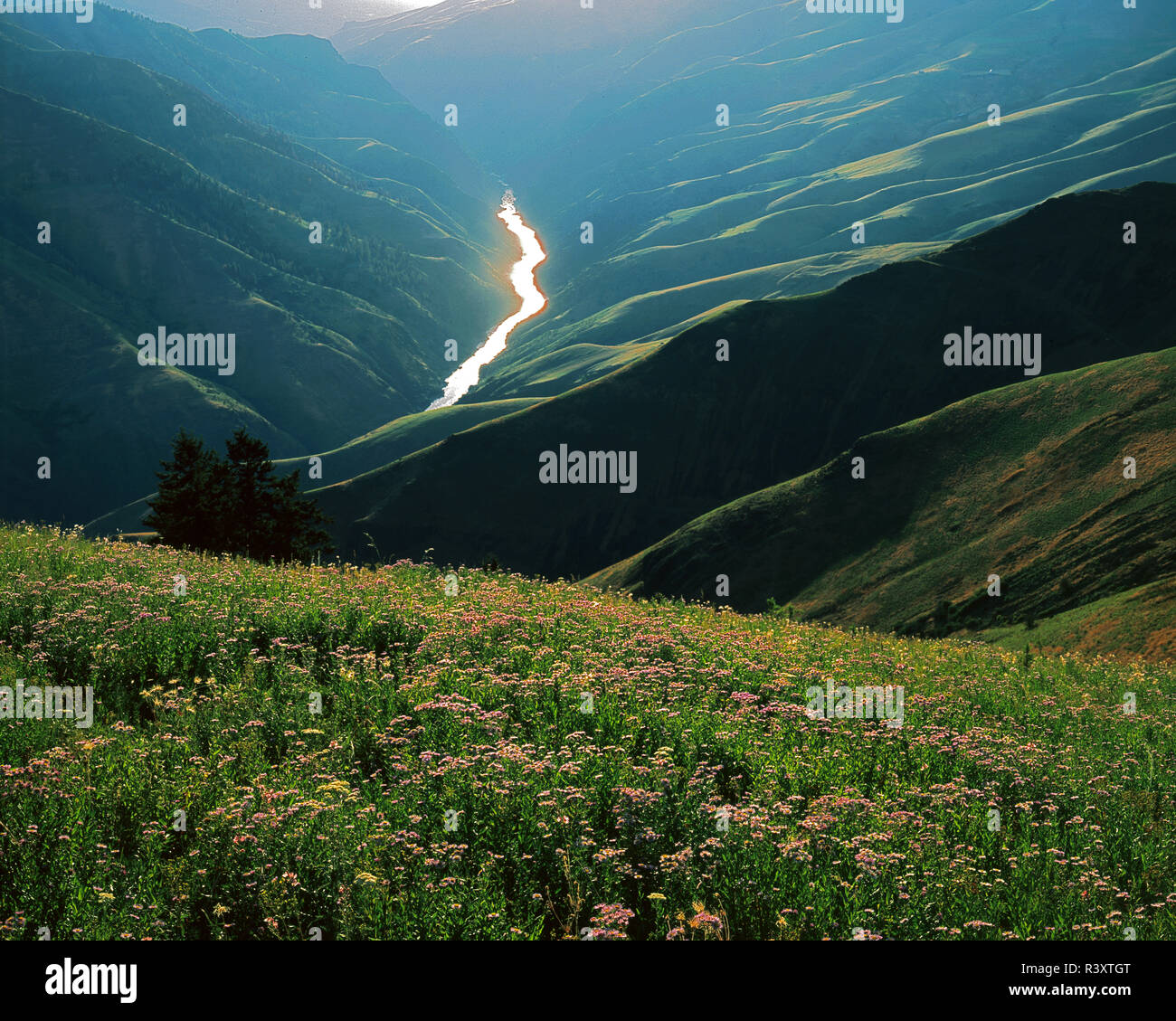 USA, Ohio, rivière à saumons, la lumière du soleil se reflète sur la rivière Banque D'Images