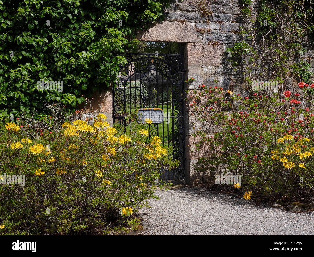 Château de Ballindalloch et jardins Scottish Highlands porte en fer entourée de plantes colorées Banque D'Images