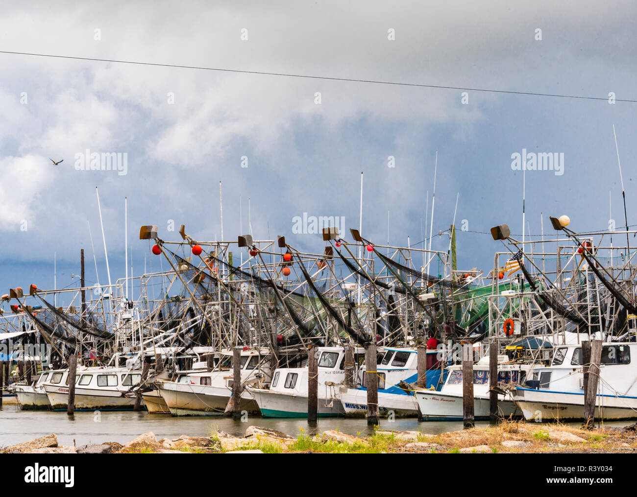 USA, Louisiane. Venise, du bassin du fleuve du Mississippi inférieur, la Côte du Golfe, le Mississippi River Delta Banque D'Images