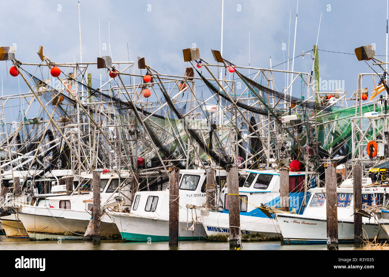 USA, Louisiane. Venise, du bassin du fleuve du Mississippi inférieur, la Côte du Golfe, le Mississippi River Delta Banque D'Images