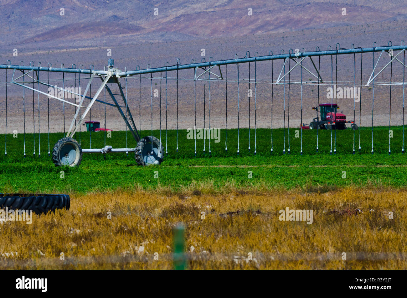 États-unis, Californie. Lida, Ranch, moment de la récolte, le système d'irrigation à pivot central Banque D'Images