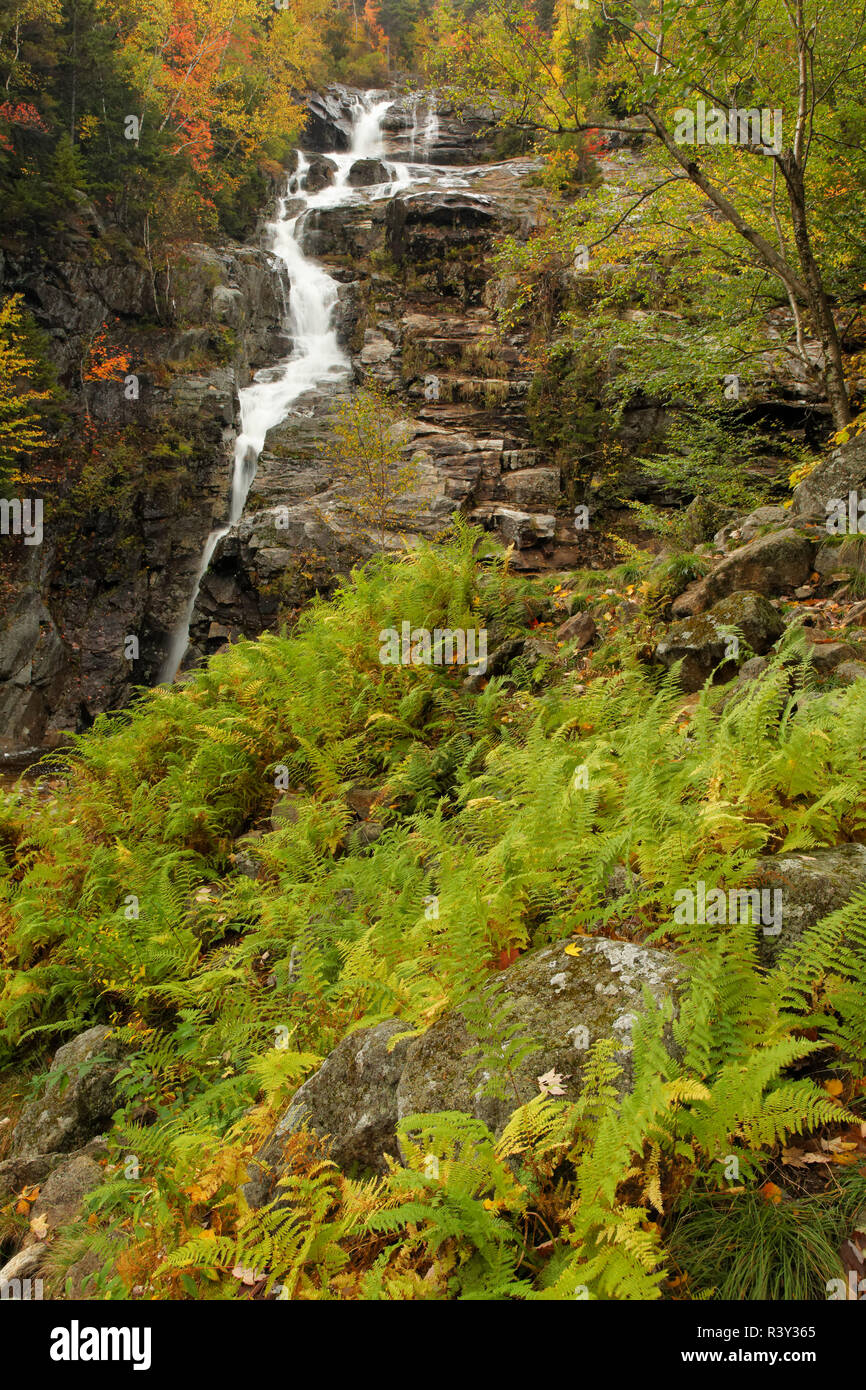 Cascade d'argent et de couleur à l'automne, Crawford Notch State Park, New Hampshire Banque D'Images