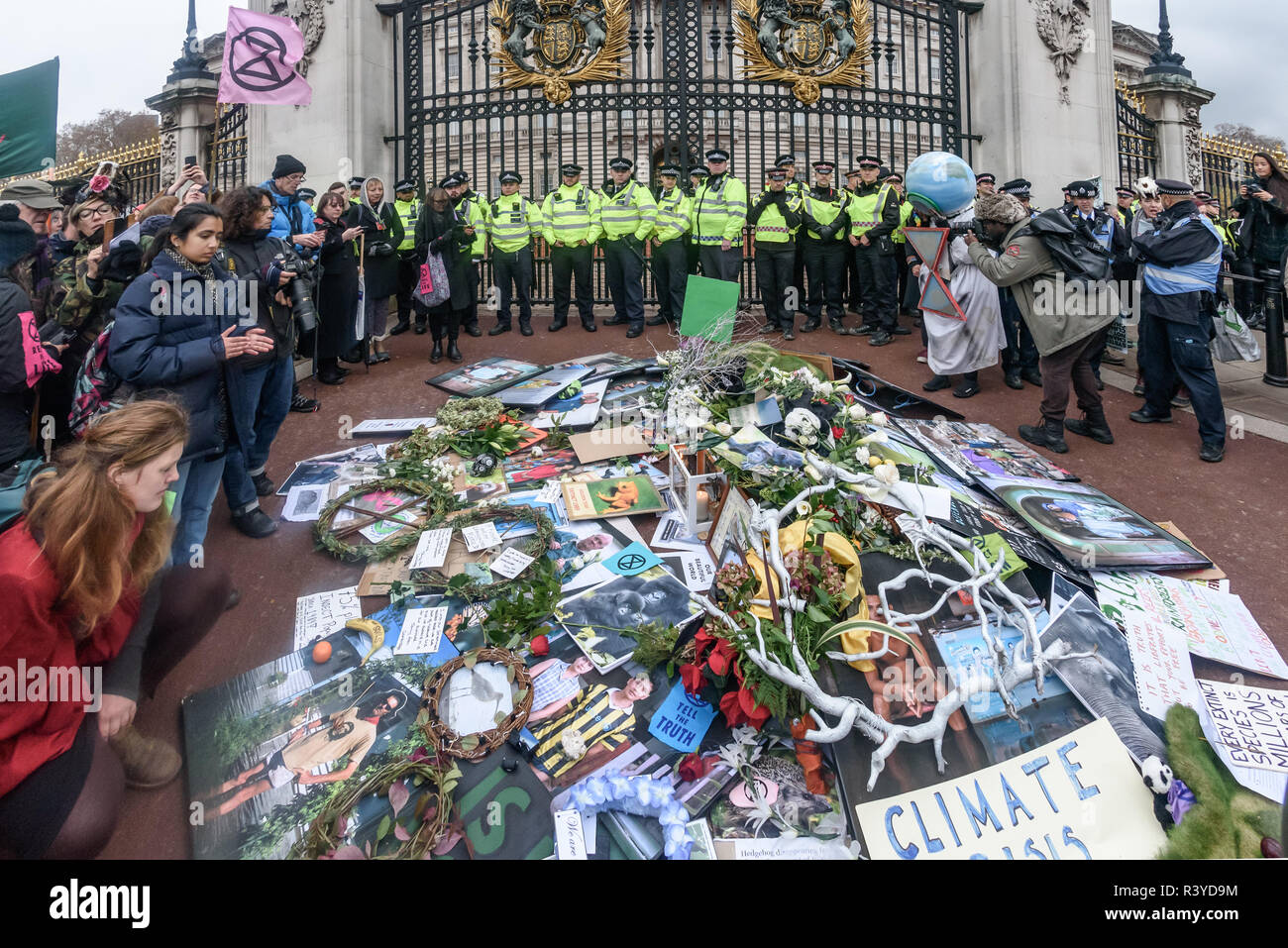 Londres, Royaume-Uni. 24 novembre 2018. La rébellion de l'Extinction du cortège funéraire arrive aux portes de Buckingham Palace. Gail Bradbrook lire une lettre de rébellion d'Extinction à la Reine, lui demande de sauver son pays et le monde en insistant pour le gouvernement de prendre d'urgence l'action climatique et appuyez sur d'autres gouvernements à faire de même, et les militants de la déclaration de rébellion répétées une fois de plus. Puis les gens sont venus pour y déposer leurs couronnes, fleurs, et autres choses qu'ils avaient apporté sur le cercueil en silence, après quoi il y avait de la musique et de la danse et je suis partie. Peter Marshall/Alamy Live News Banque D'Images