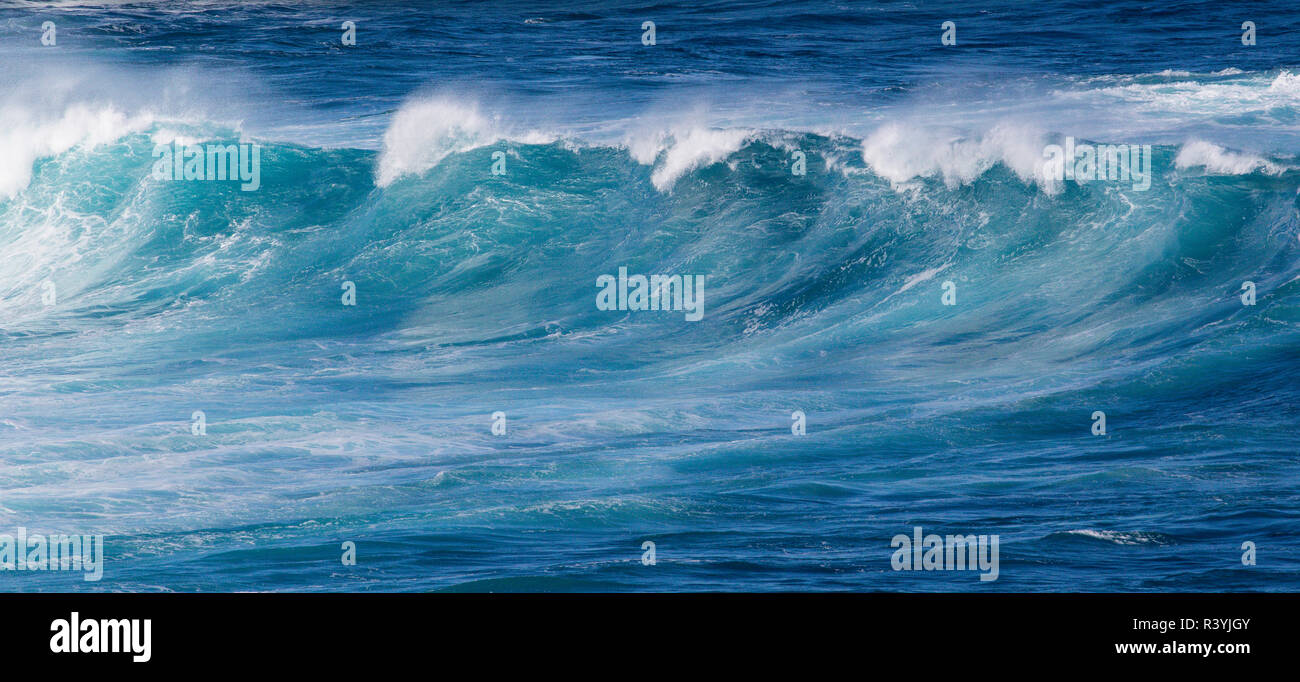 Cresting vagues le long du parc d'état de Hookipa beach, Maui, Hawaii Banque D'Images