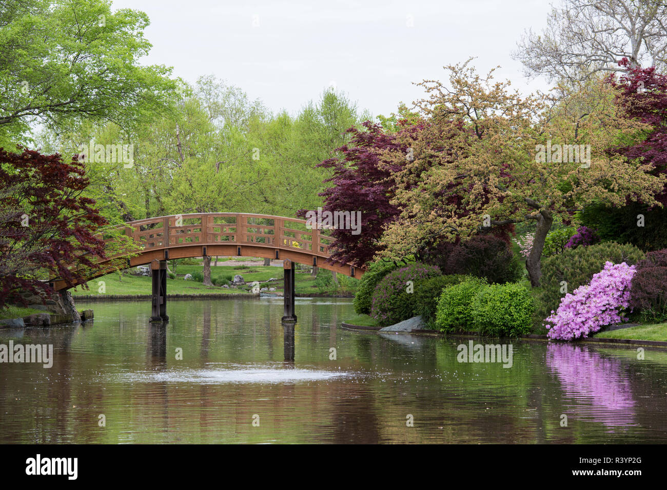 Jardin japonais au printemps, Missouri Botanical Garden, St Louis, Missouri Banque D'Images