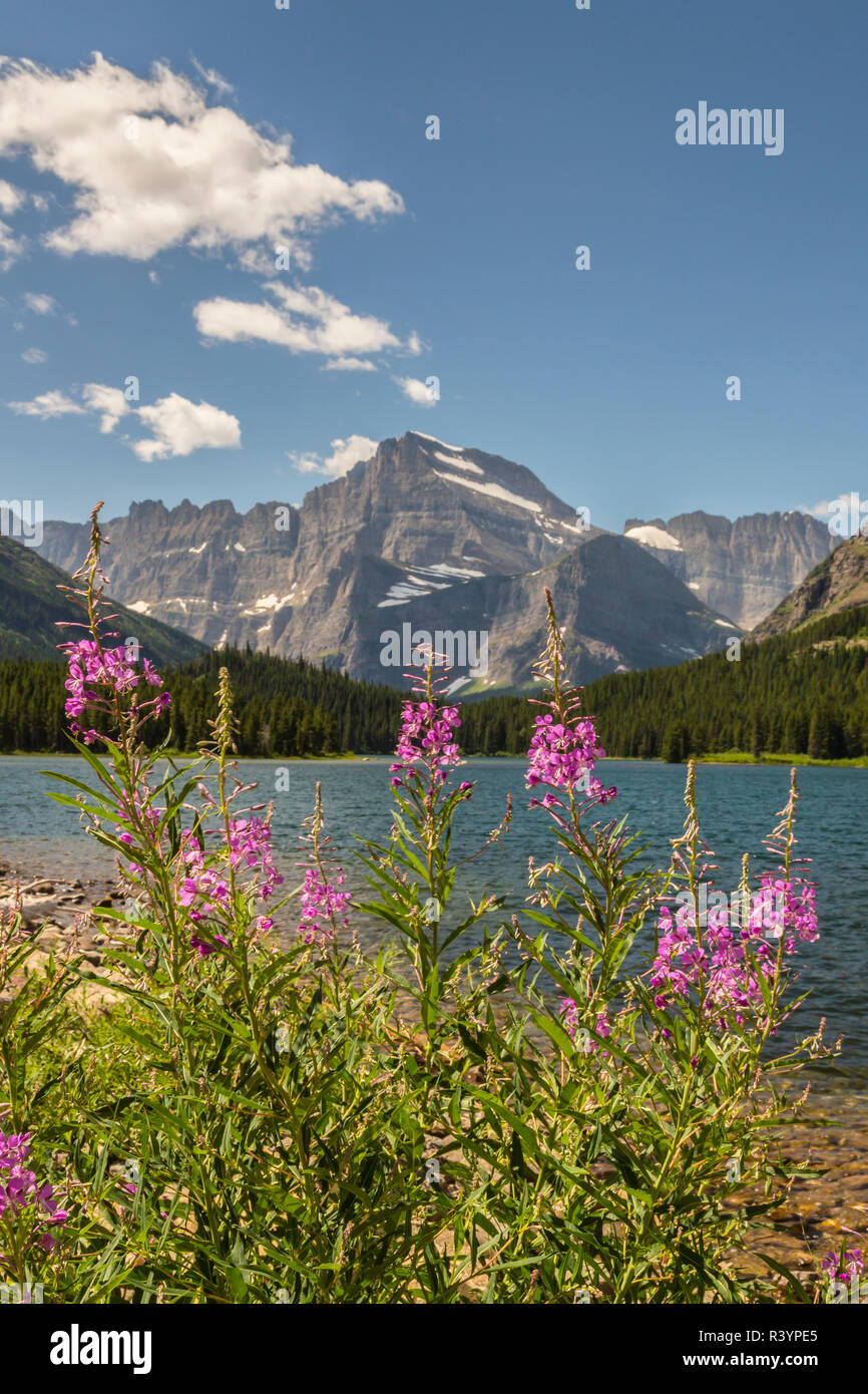 USA, Montana, le parc national des Glaciers. Grinnell Point et lac Swiftcurrent paysage. Banque D'Images