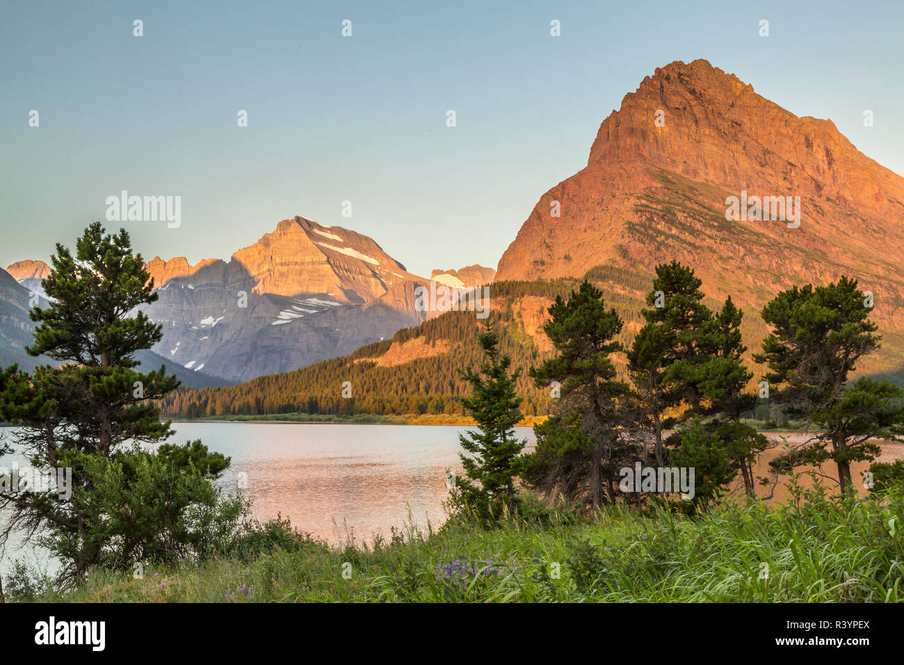 USA, Montana, le parc national des Glaciers. Réflexion sur la Montagne Lac Swiftcurrent au lever du soleil. Banque D'Images