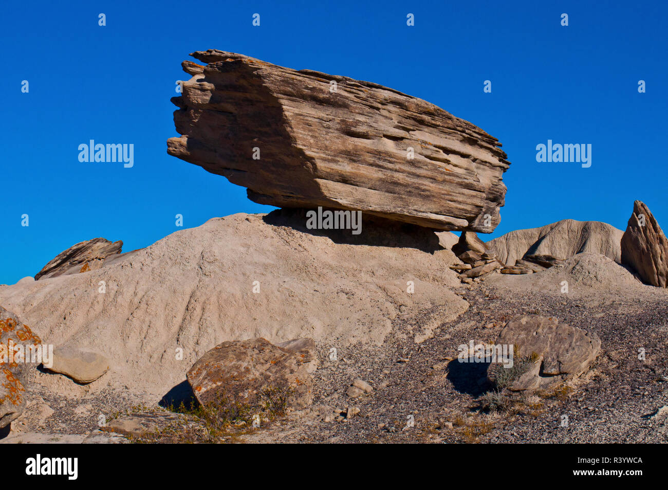 USA, Ohio, Crawford, Toadstool Geologic Park, roches équilibré Banque D'Images