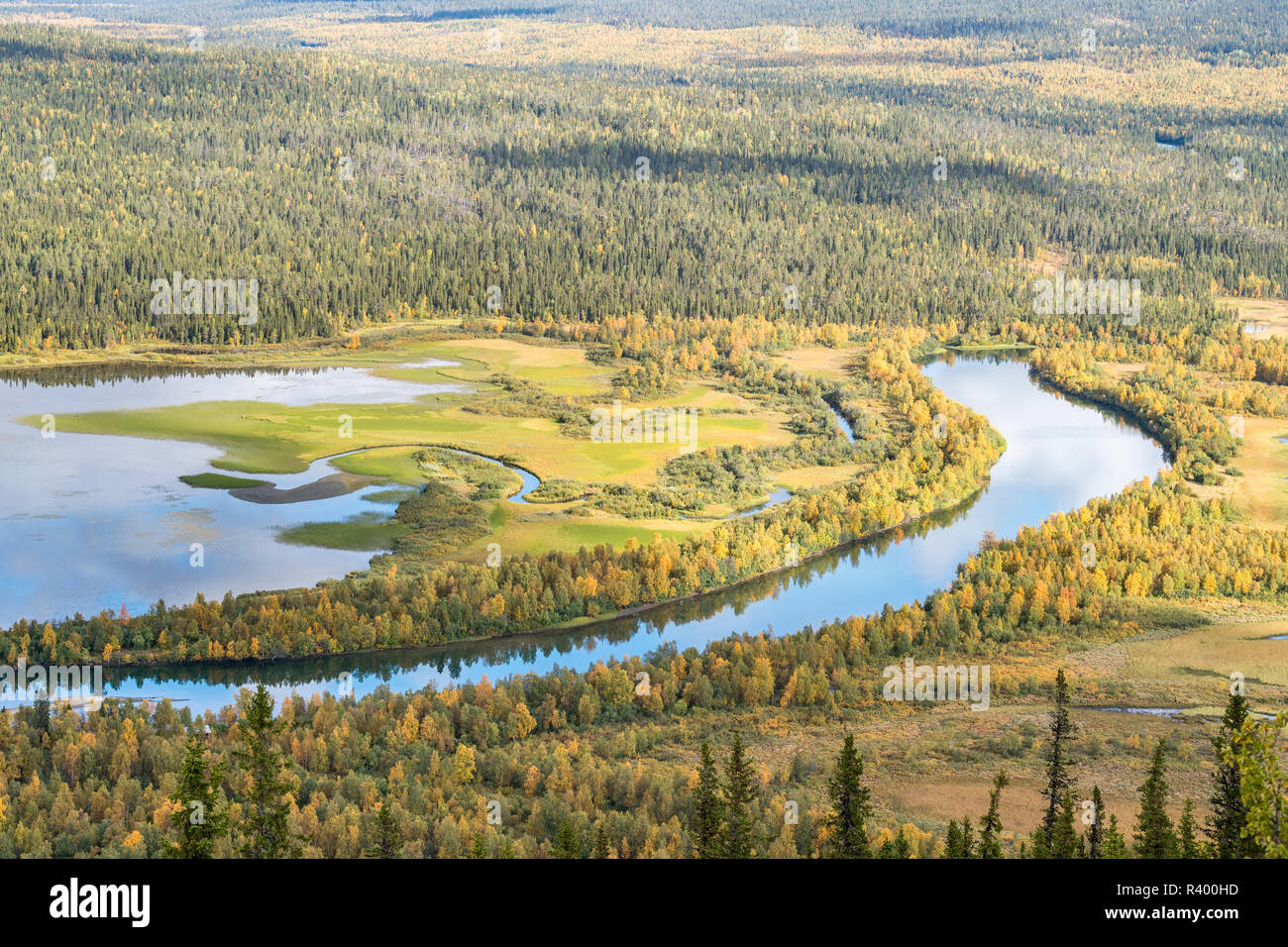 Paysage de rivière en automne, rivière, Tarraätno Kvikkjokk, Laponia, Norrbotten, Lapland, Sweden Banque D'Images