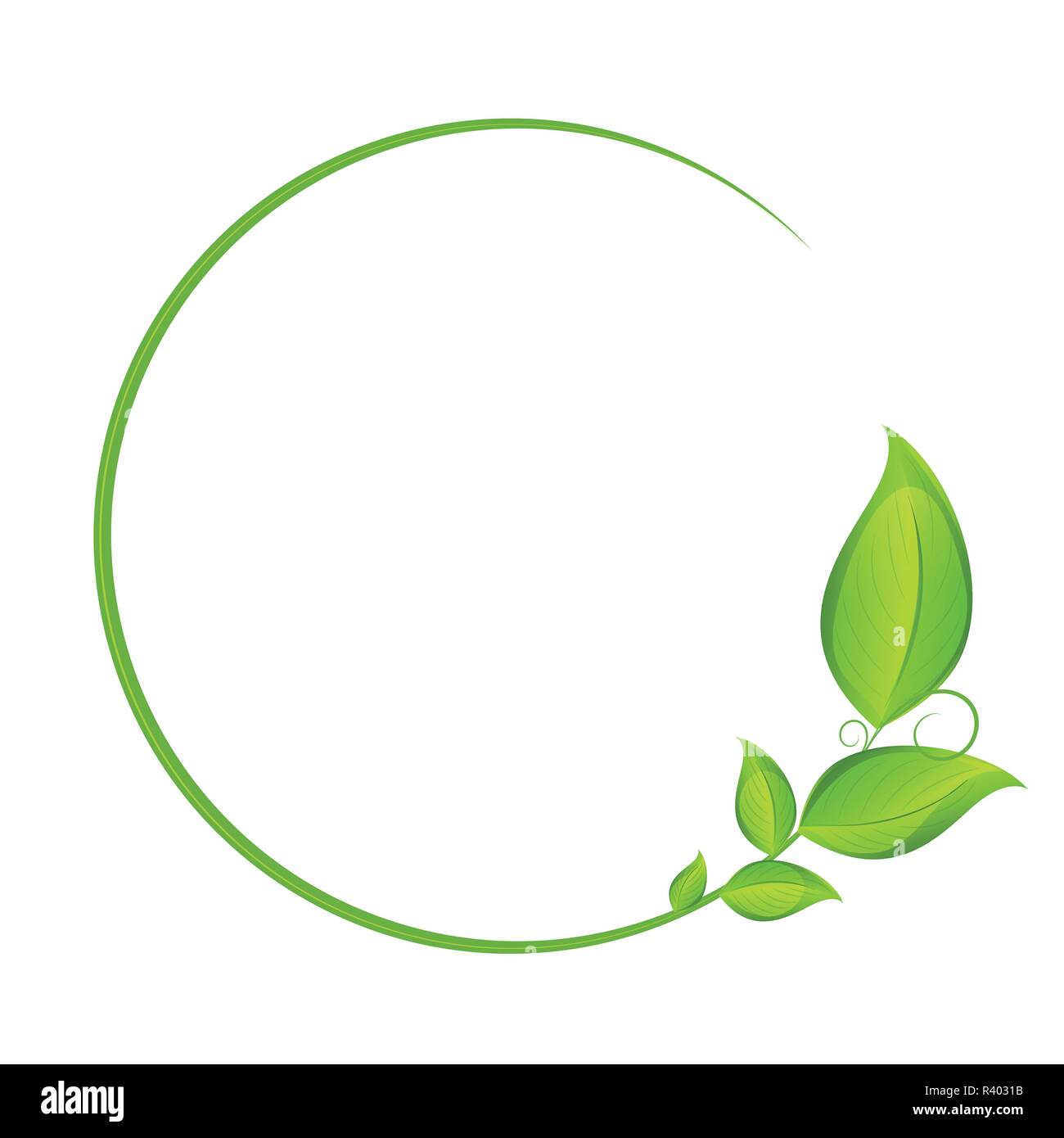 Cercle vert avec des feuilles de la vrille illustration vecteur EPS10 Illustration de Vecteur