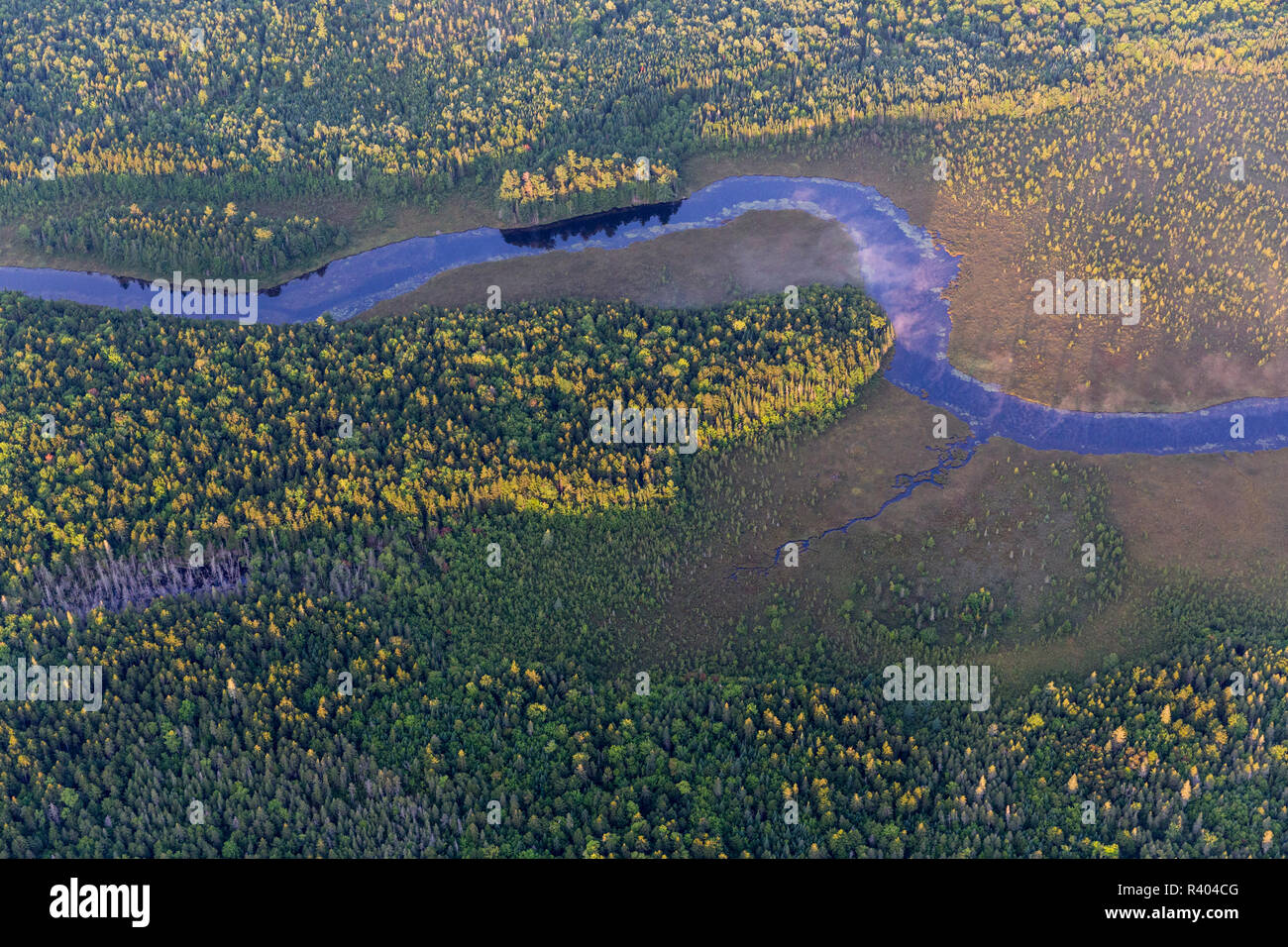 Wytipitlock ruisseau coule à travers marais et forêts près de Wytipitlock Lake à Reed, Maine. Banque D'Images