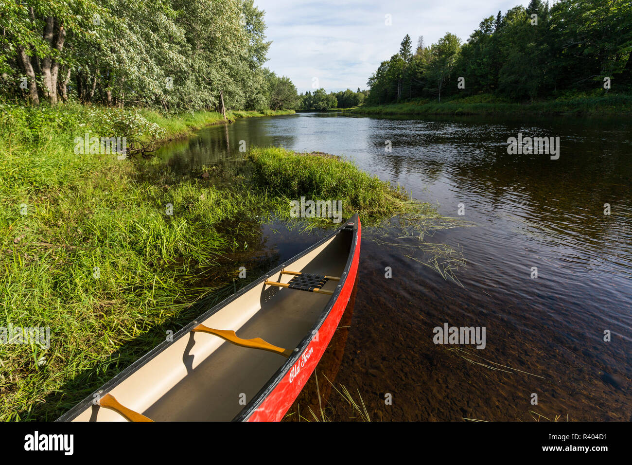 Canoe sur les rives de la rivière en Wytipitlock Mattawamkeag, Maine. Banque D'Images