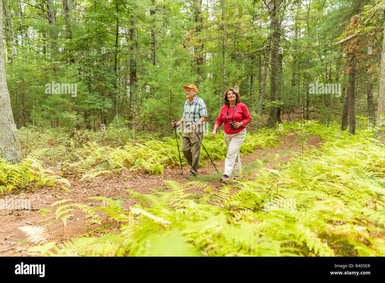 Un homme et une femme randonnées un sentier forestier à Ipswich, Massachusetts. (MR) Banque D'Images