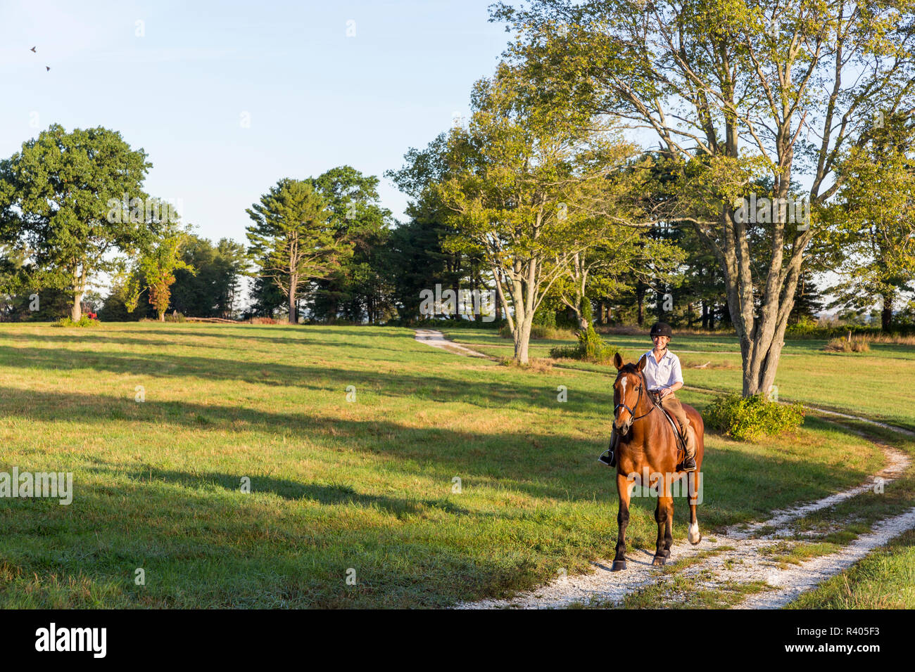 Une femme sur son cheval équitation Sagamore Hill à Hamilton, Massachusetts. (MR) Banque D'Images