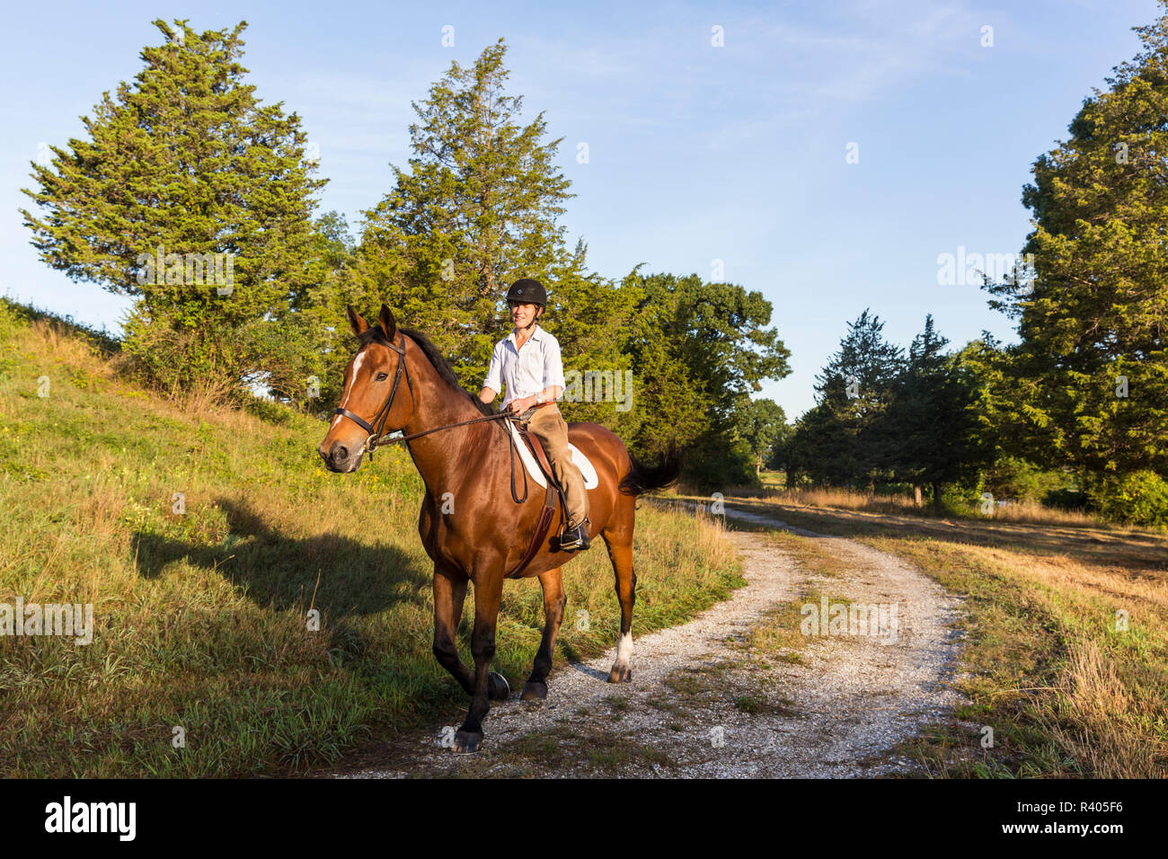 Une femme sur son cheval équitation Sagamore Hill à Hamilton, Massachusetts. (MR) Banque D'Images
