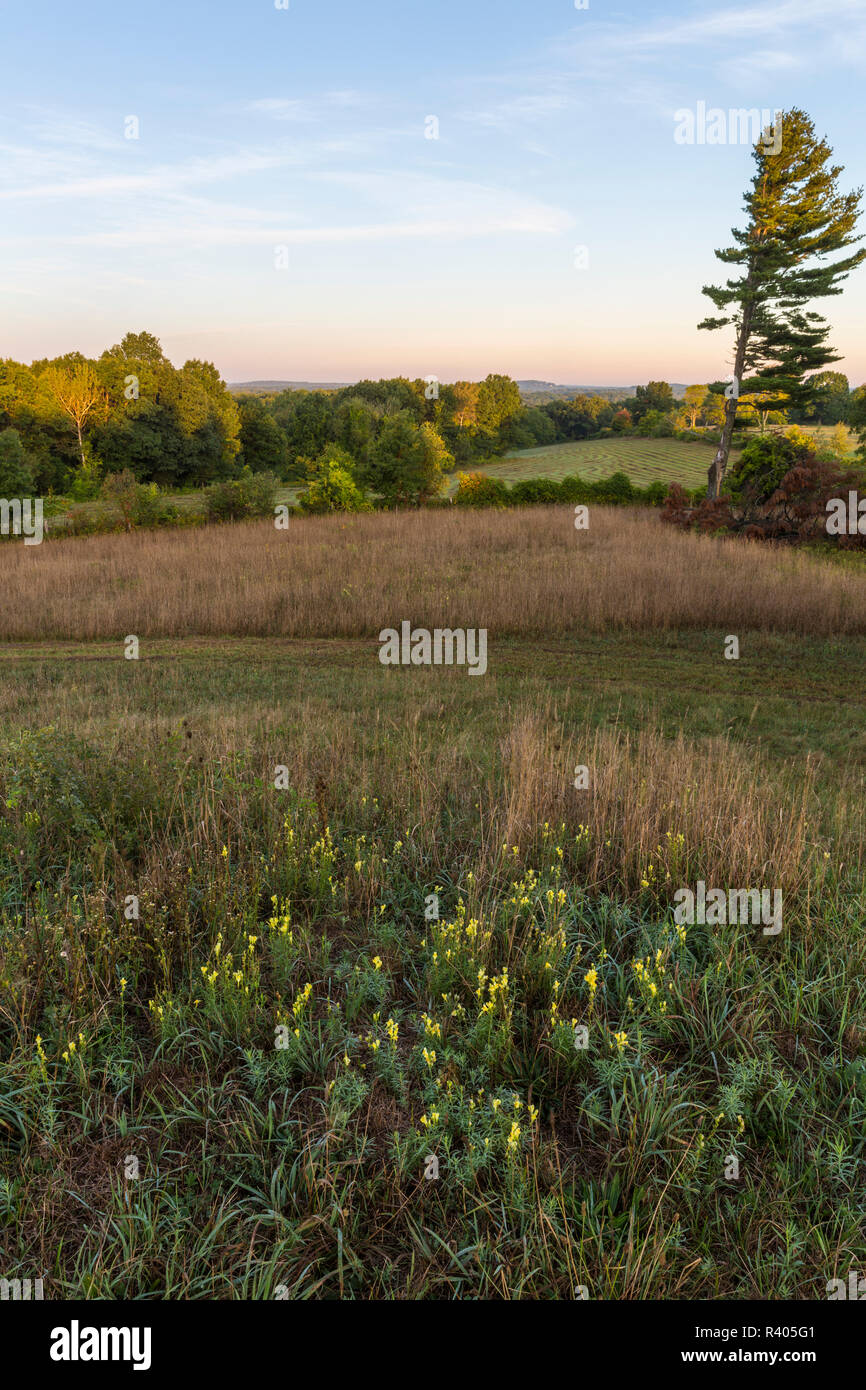 Vue sur les champs à partir de Sagamore Hill à Hamilton, Massachusetts. Banque D'Images