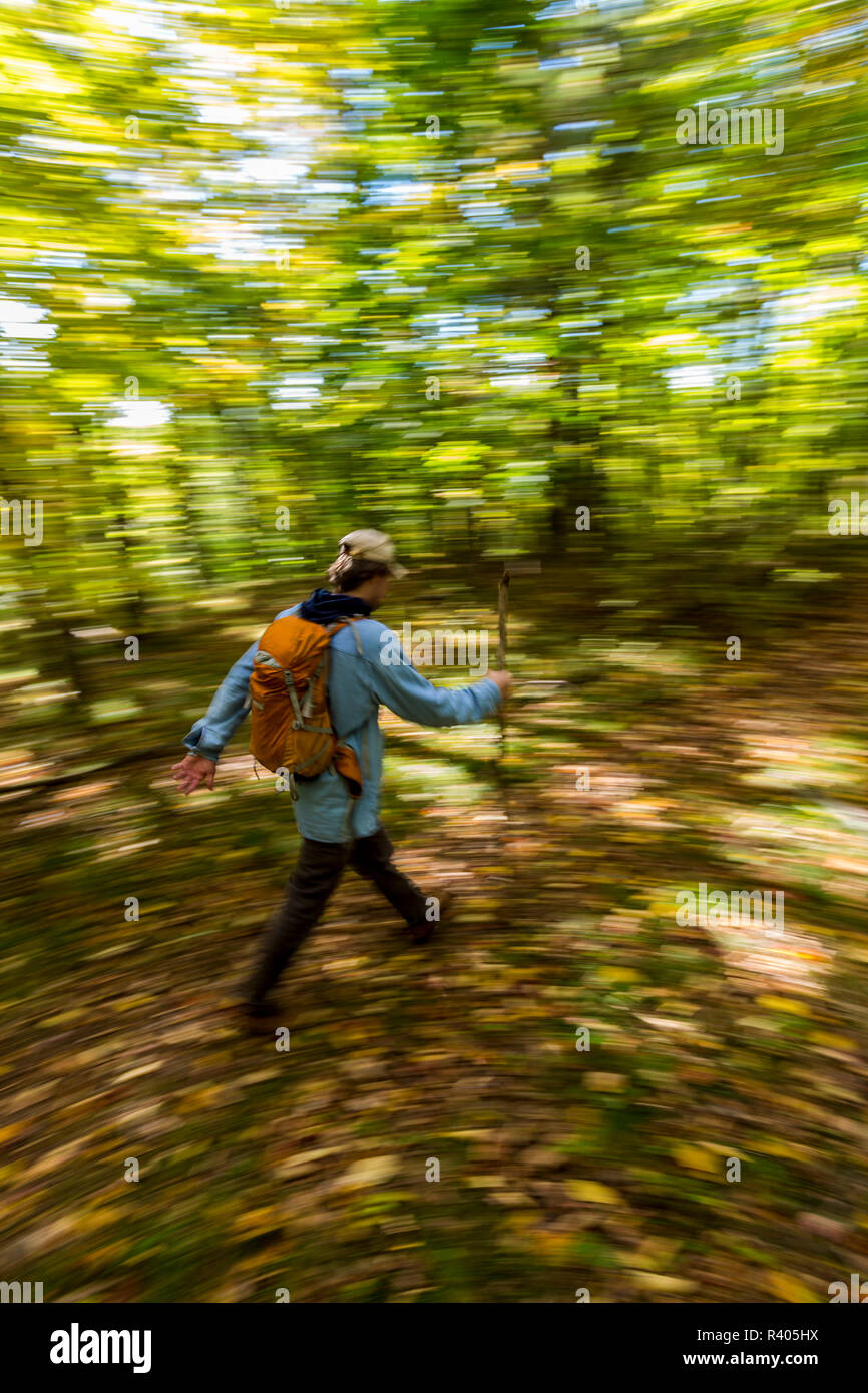 Jeune homme marcher un sentier forestier à Amesbury, Massachusetts. (MR) Banque D'Images