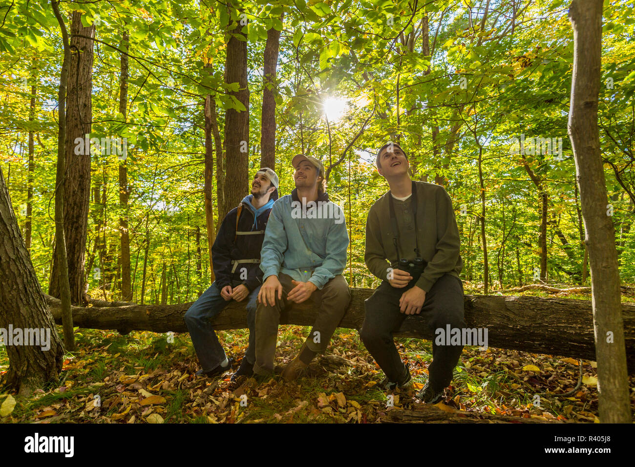Trois jeunes hommes qui traînaient dans une forêt à Amesbury, Massachusetts. (MR) Banque D'Images