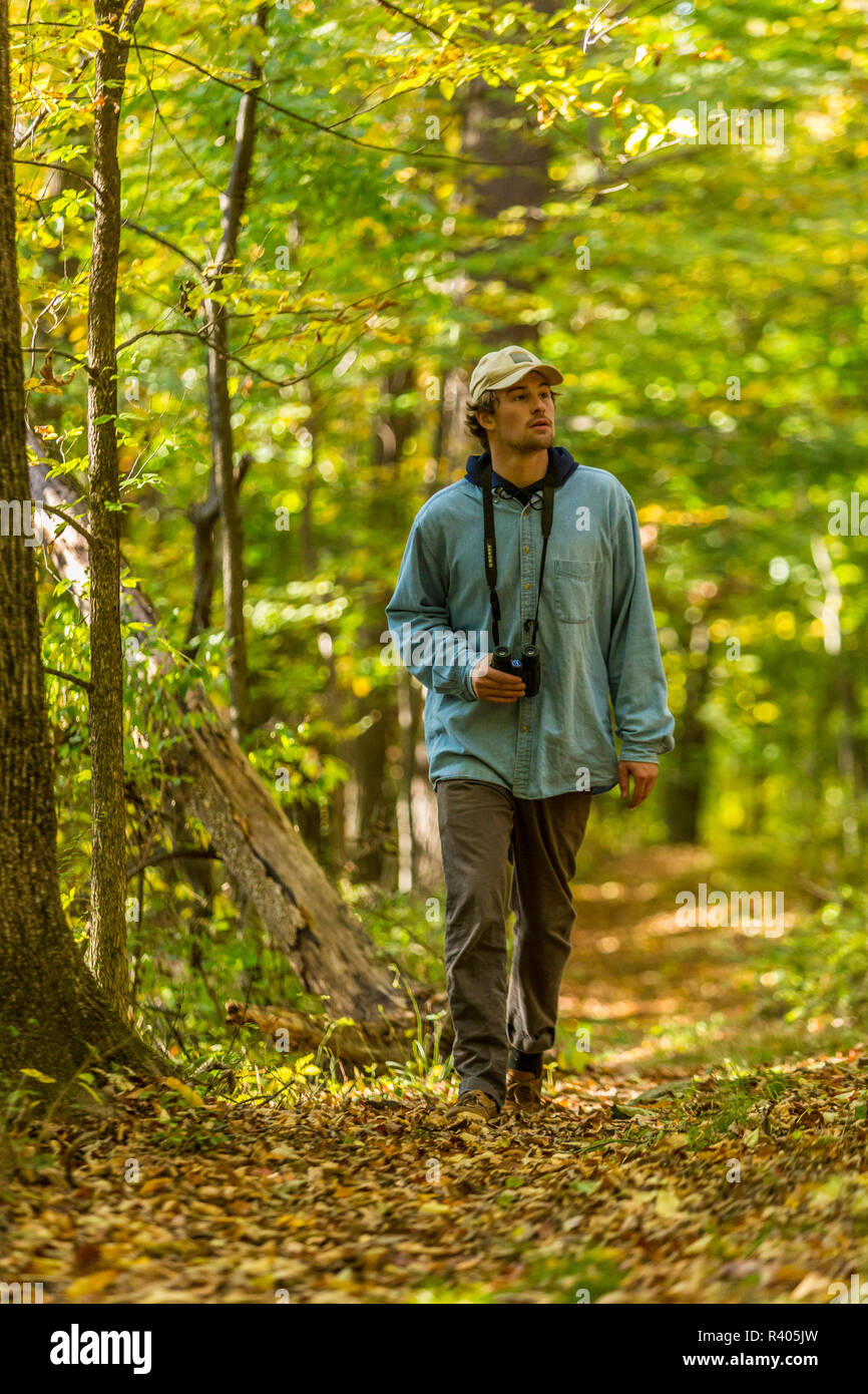 Jeune homme marcher un sentier forestier à Amesbury, Massachusetts. (MR) Banque D'Images
