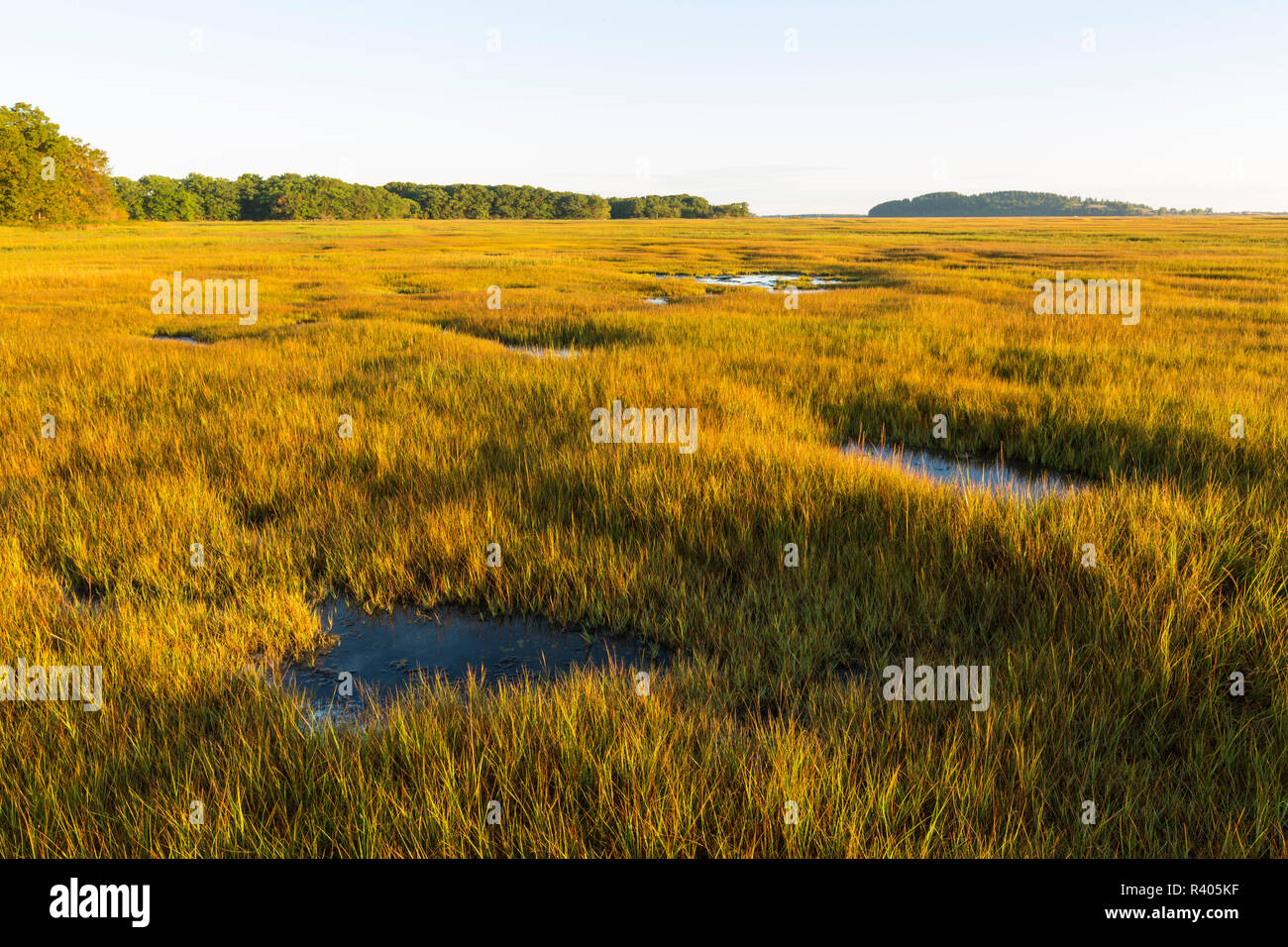 Essex River salt marsh à la Cox avec réservation gratuite dans l'Essex, Massachusetts. Banque D'Images