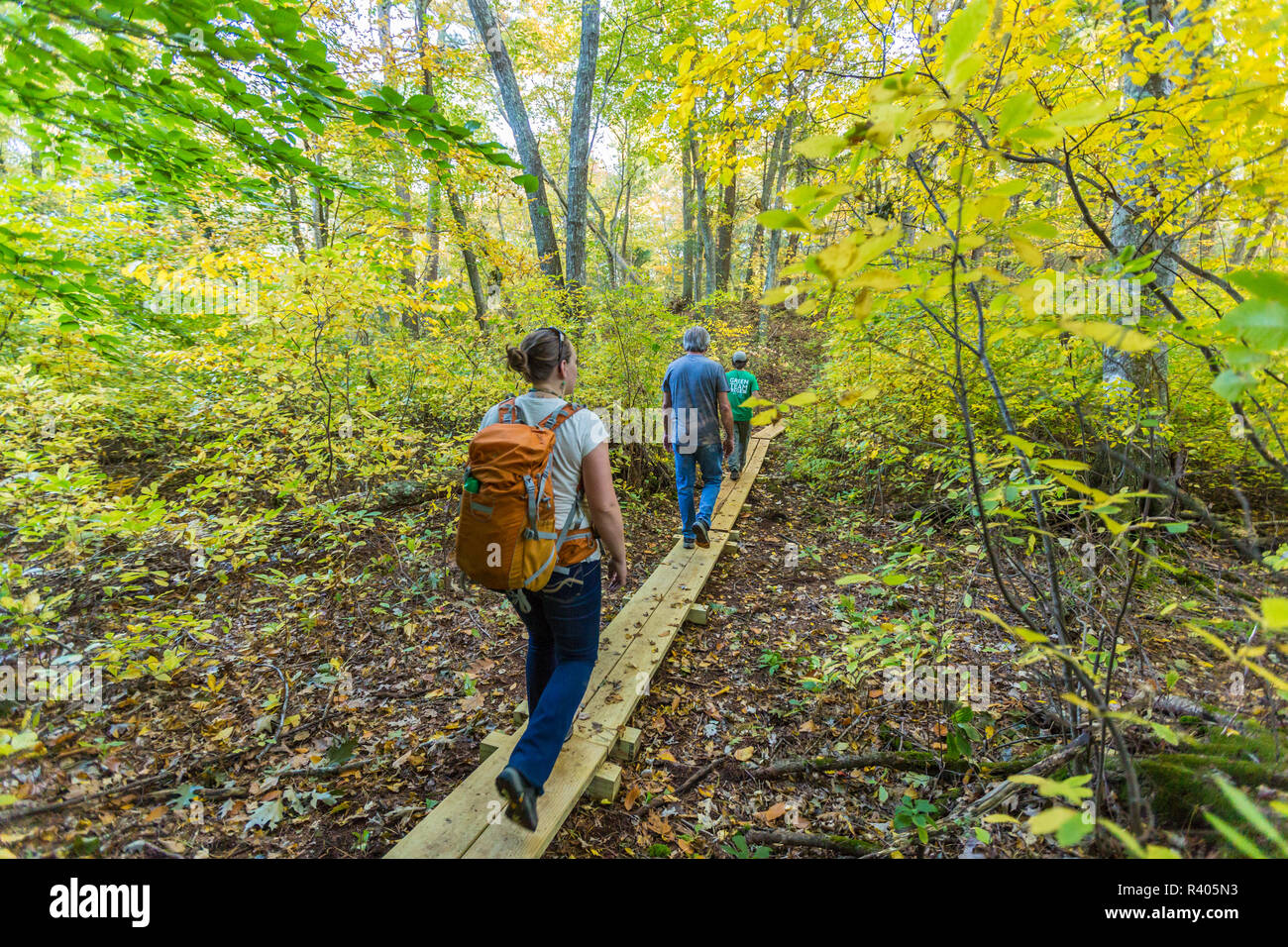 Les randonneurs sur un sentier forestier dans la région de Marshfield, Massachusetts. Hoyt-Hall préserver. (MR) Banque D'Images