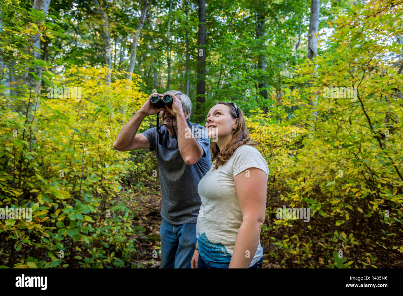 L'homme et la femme l'observation des oiseaux dans une forêt à Marshfield, Massachusetts. Hoyt-Hall préserver. (MR) Banque D'Images