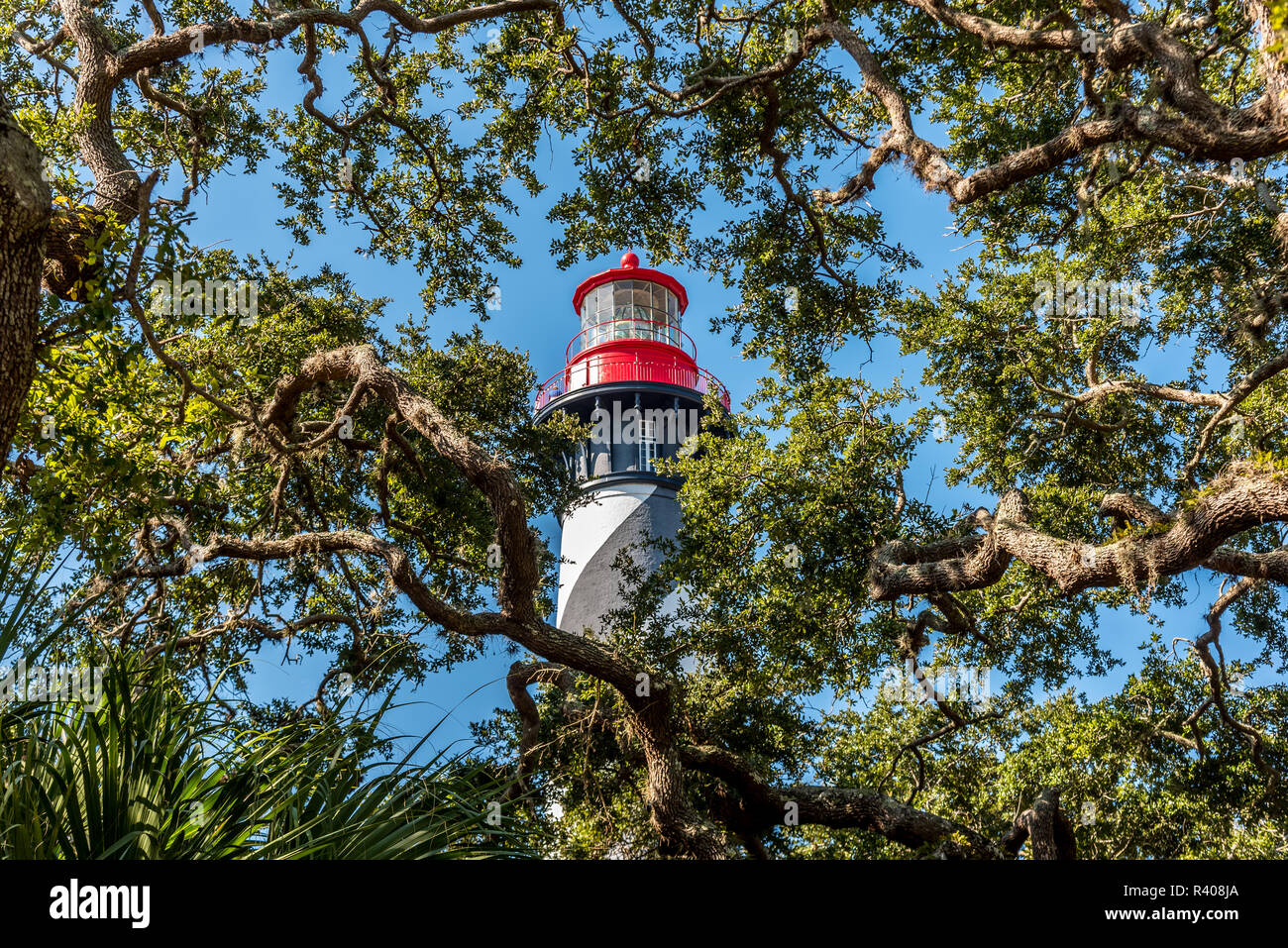 Vue de Saint Augustine Lighthouse derrière des arbres à Anastasia Island en Floride Banque D'Images