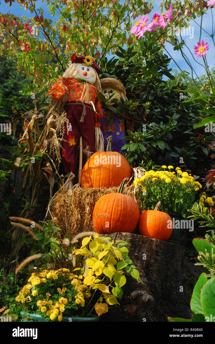 USA (Oregon, Portland. Décorations d'Halloween à l'automne. En tant que crédit : Steve Terrill / Jaynes Gallery / DanitaDelimont.com Banque D'Images