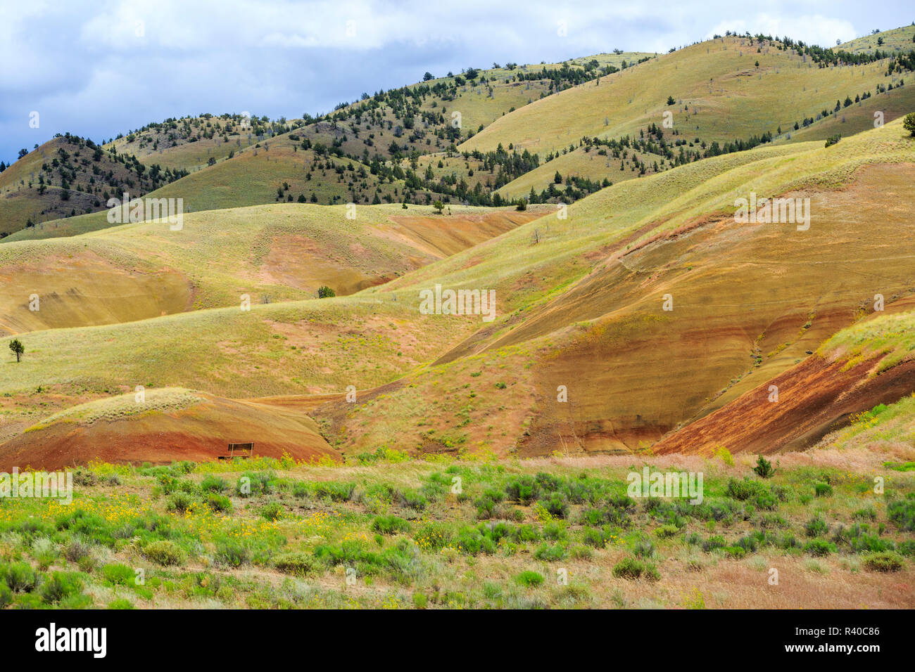 USA (Oregon), Redmond, Bend, Mitchell. Série de petites collines d'argile rayé de bandes colorées de minéraux, de cendres et de dépôts en argile. Banque D'Images