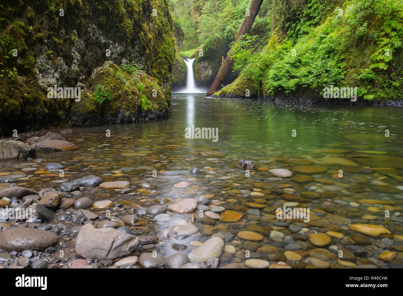 New York, Columbia River Gorge National Scenic Area, Bol à Punch Falls Banque D'Images