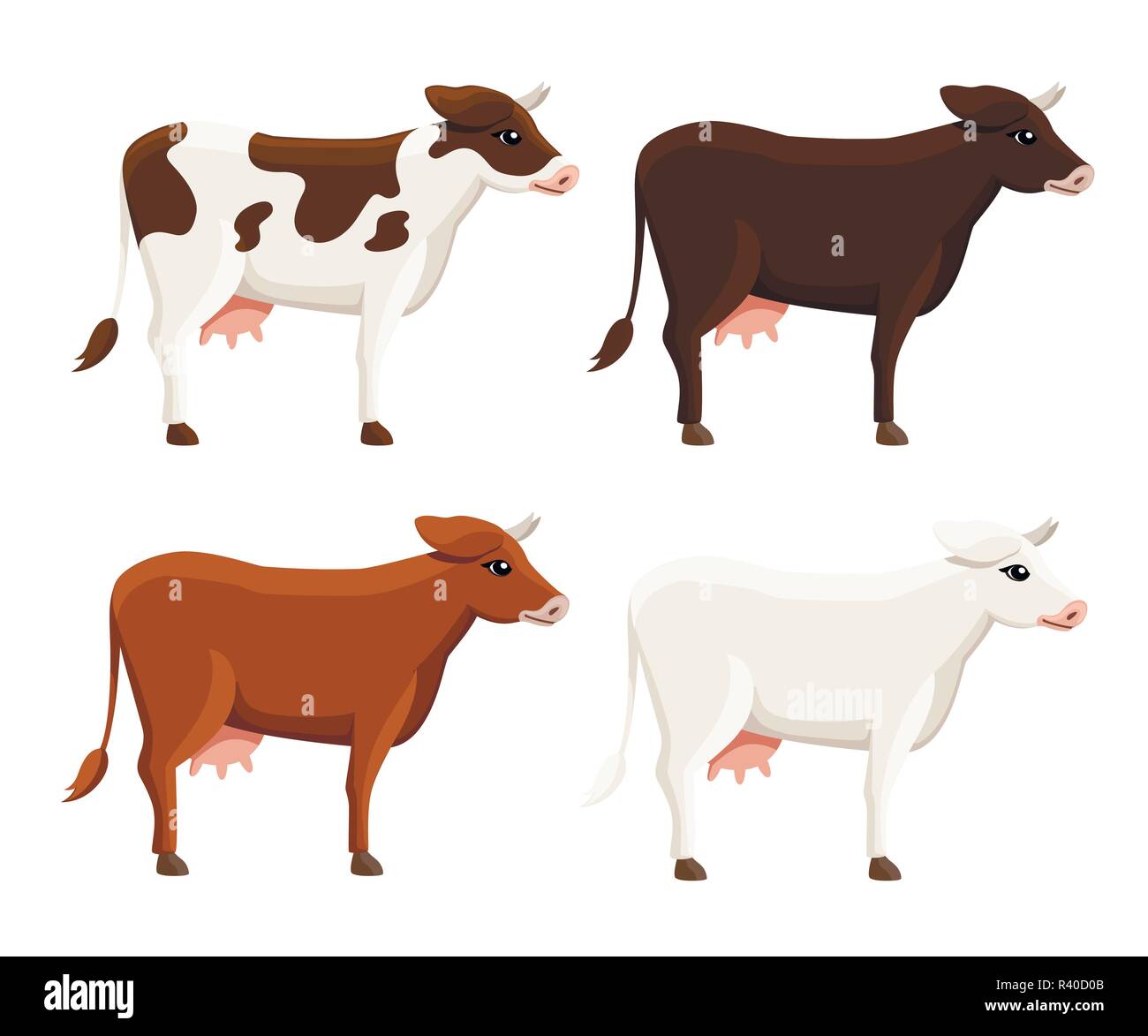 Collection de vaches mignon. Farm animal domestique. Style plat design animal. Vector illustration isolé sur fond blanc. Illustration de Vecteur