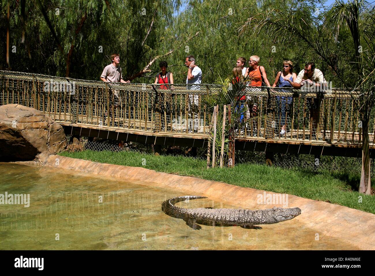 Visite guidée, Cango Wildlife Ranch, Afrique du Sud Banque D'Images