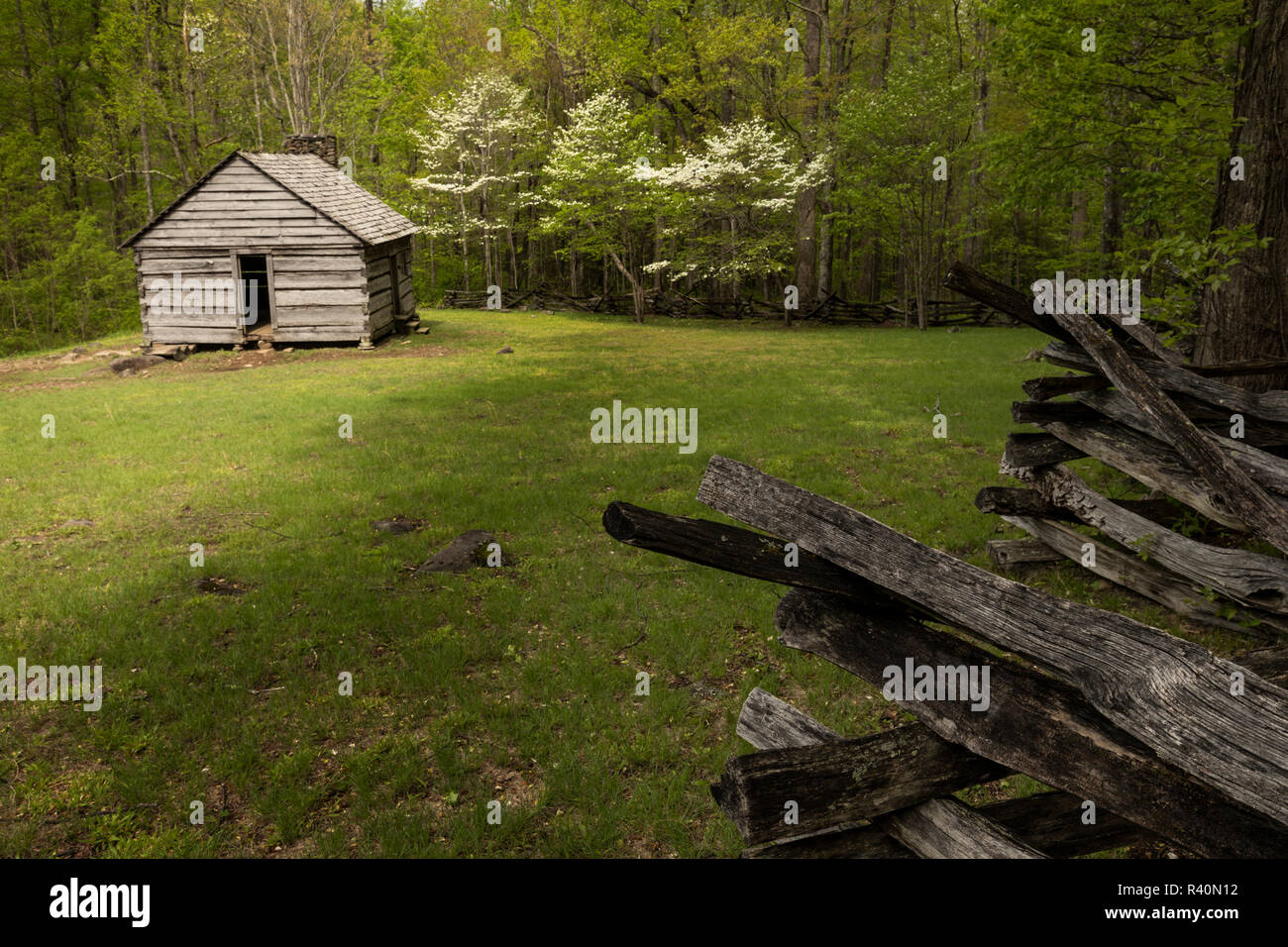 Jim Balles Place et de cornouiller, arbres moteur Roaring Fork Sentier nature, parc national des Great Smoky Mountains, New York Banque D'Images